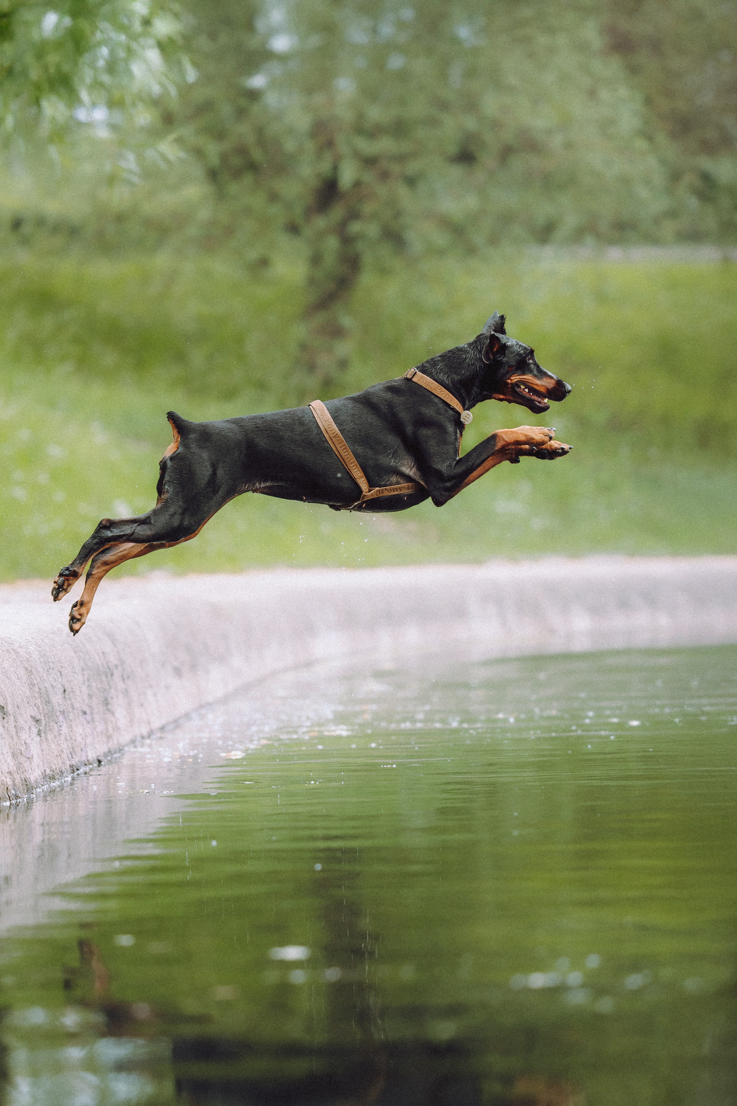 Паша, Хайди и Тея