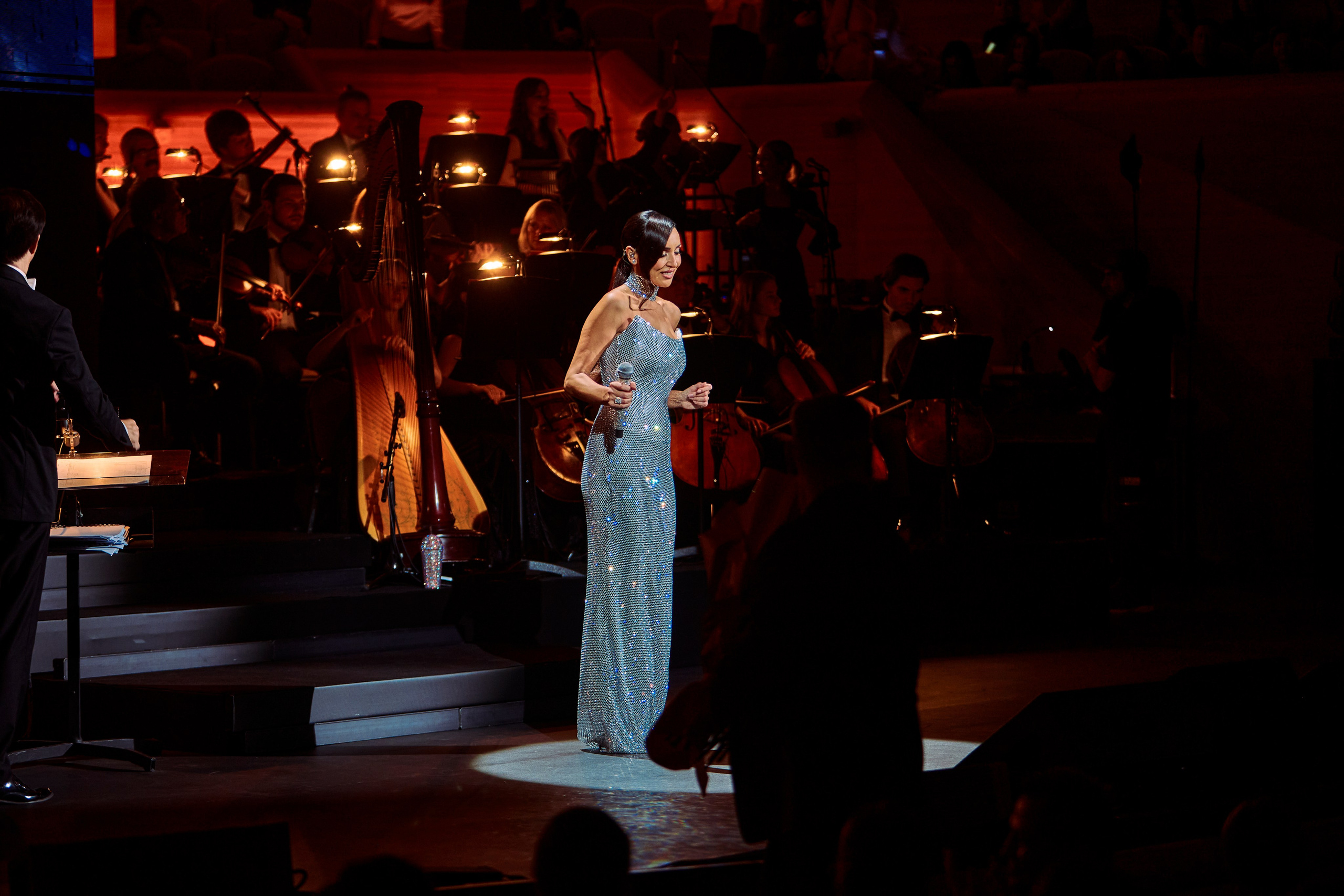 Concert. Репортажный фотограф, портретный фотограф  г. Москва