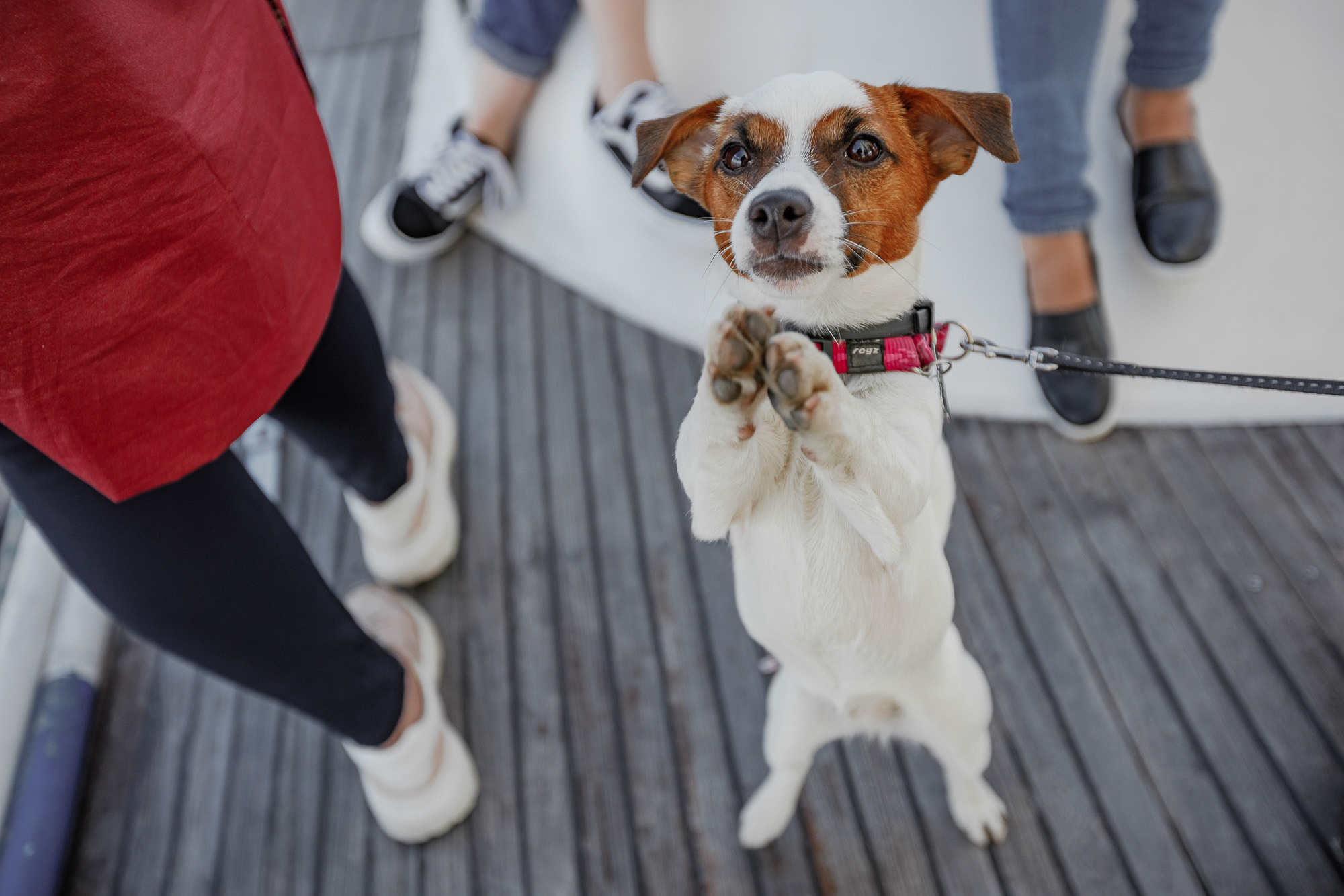 Прогулки на яхте в акватории Финского залива. Портретный и свадебный фотограф в Санкт-Петербурге Ольга Филиппова