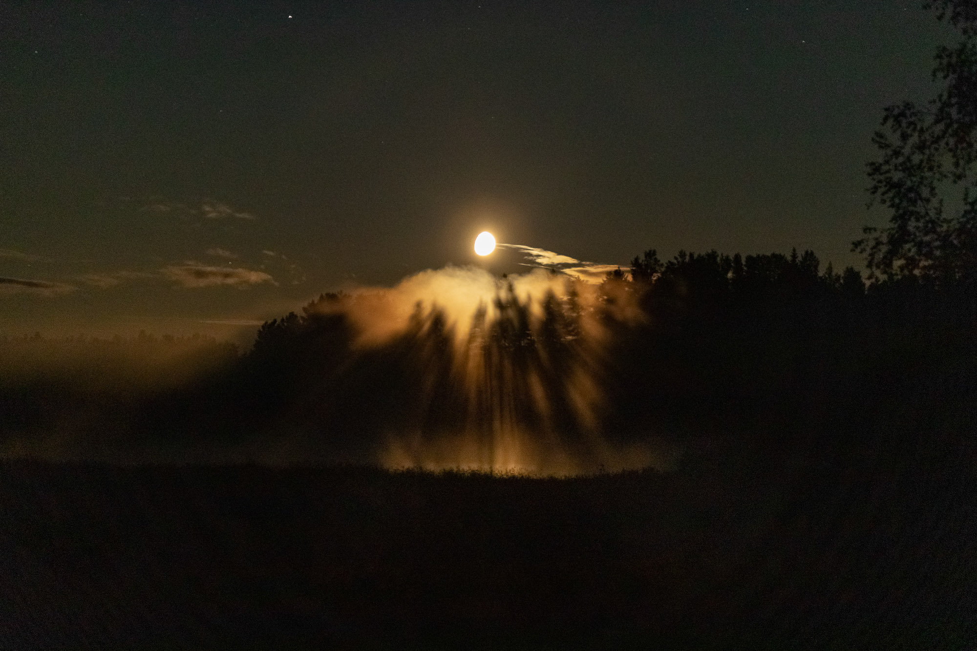 Total escape в Карелии. Женские выезды на Ладогу. Портретный и свадебный фотограф в Санкт-Петербурге Ольга Филиппова