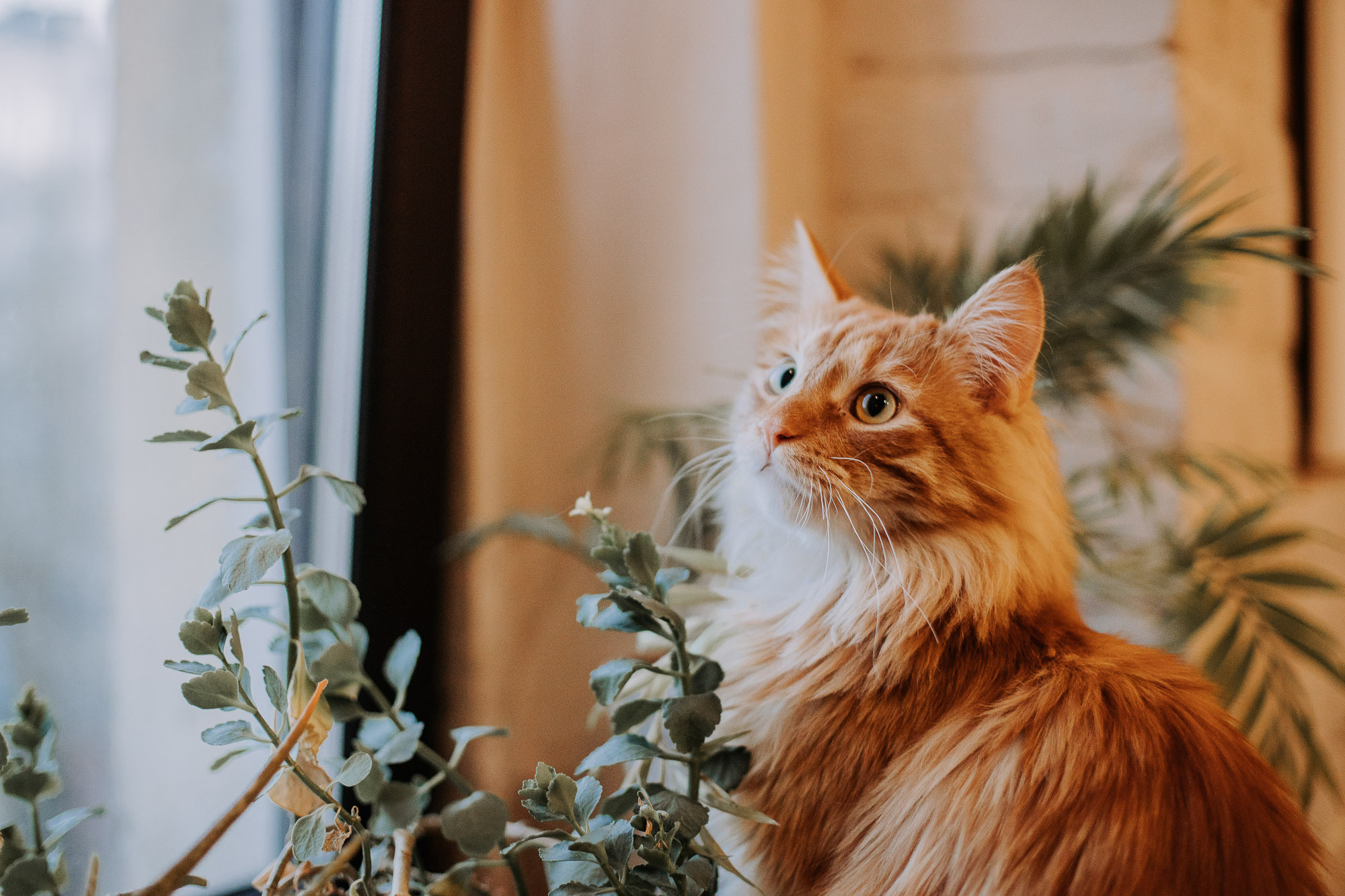 Мастер-класс по вязанию из джута в балийской квартире. Портретный и свадебный фотограф в Санкт-Петербурге Ольга Филиппова