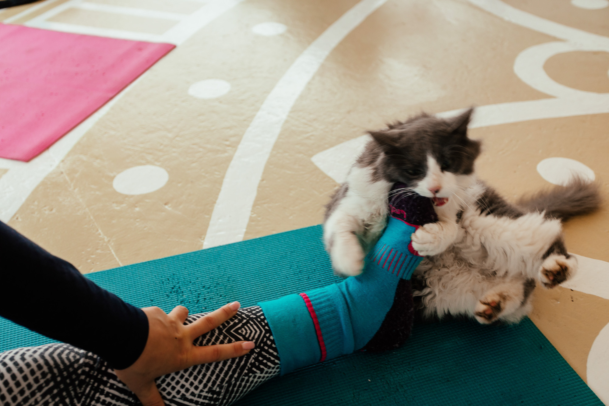 Total escape в Карелии. Женские выезды на Ладогу. Портретный и свадебный фотограф в Санкт-Петербурге Ольга Филиппова