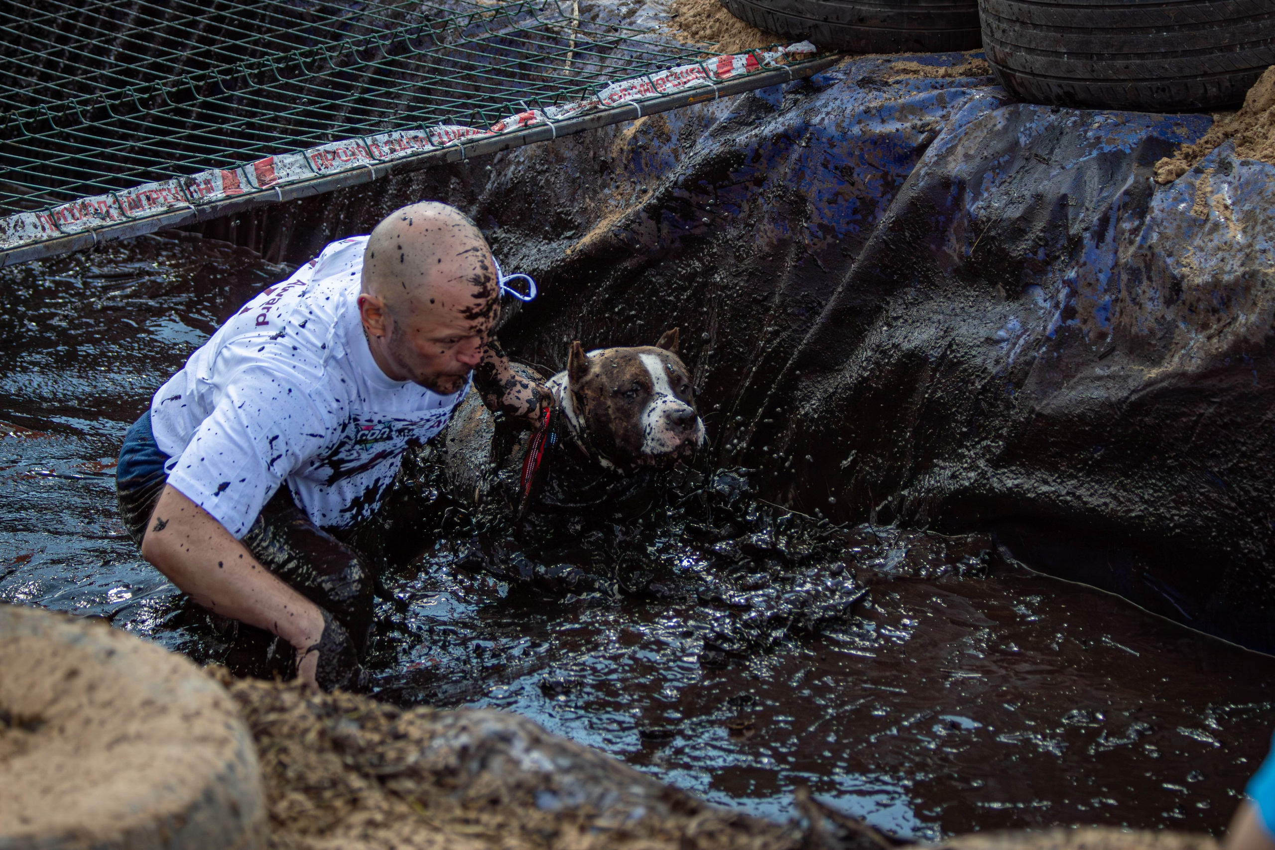 Хвостатый Драйв 2024. Фотограф анималист — Тула, Москва