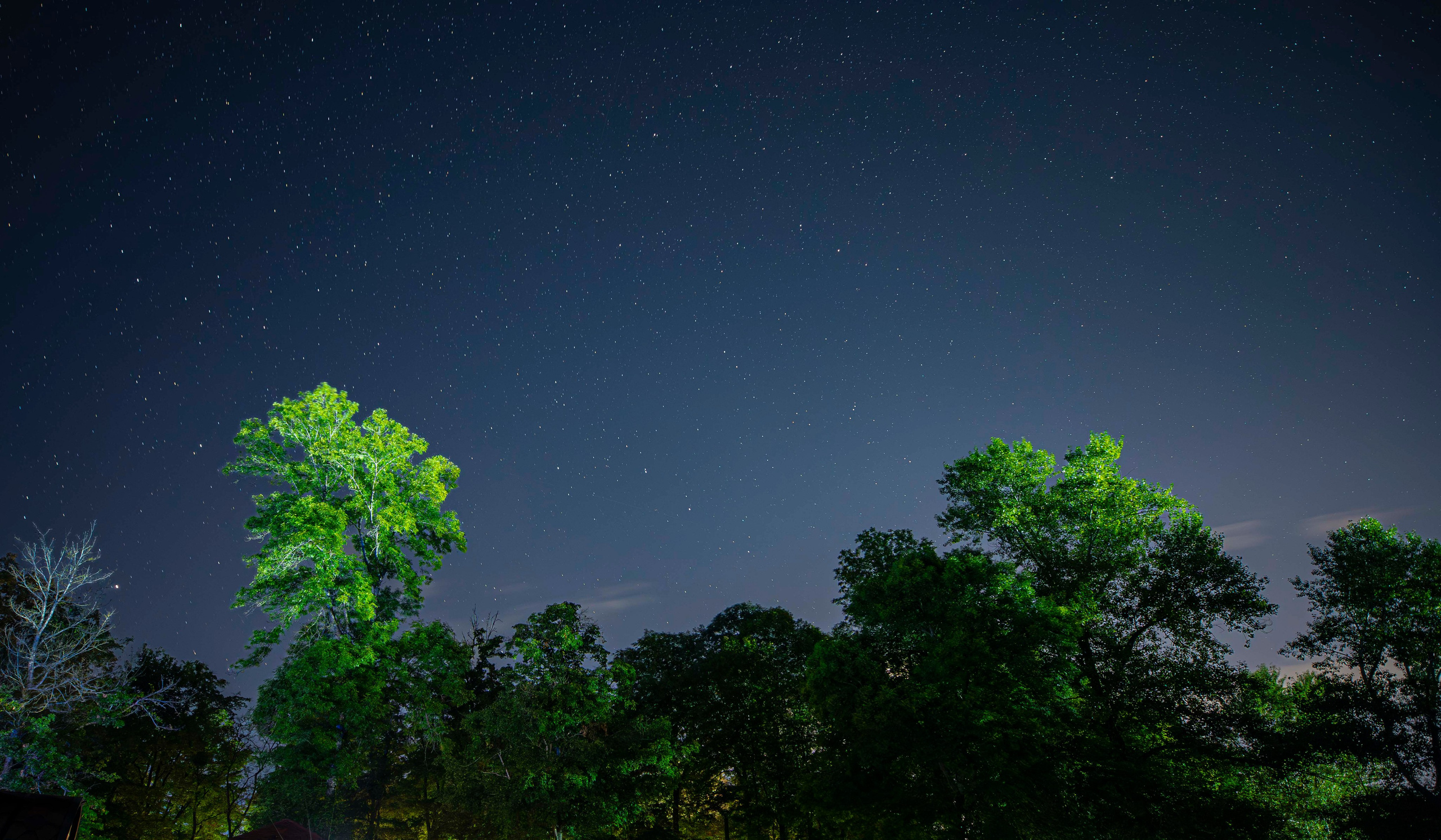 Фото о жизни