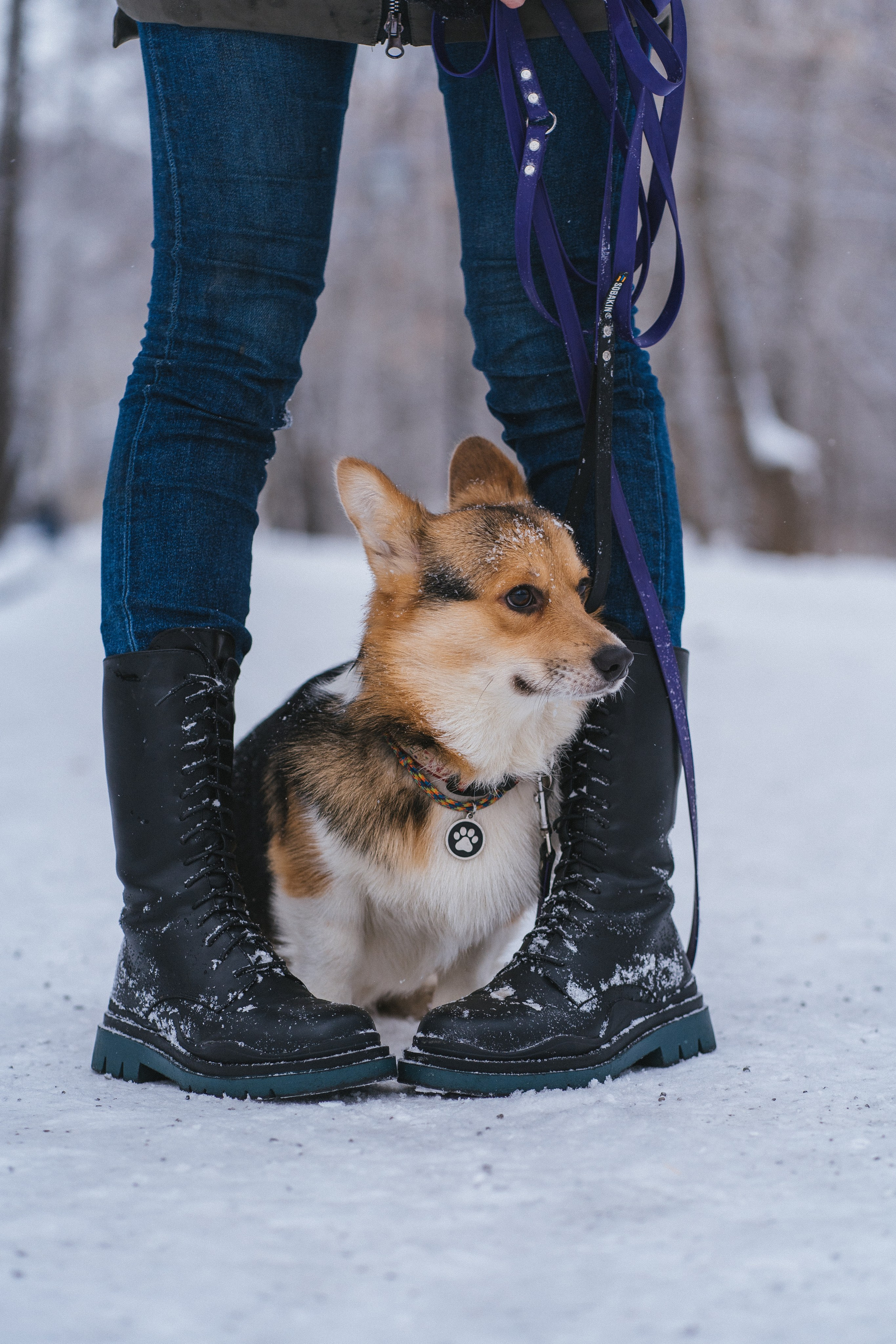 Каспер и Полина. Свадебный фотограф в Москве Анна Полушина