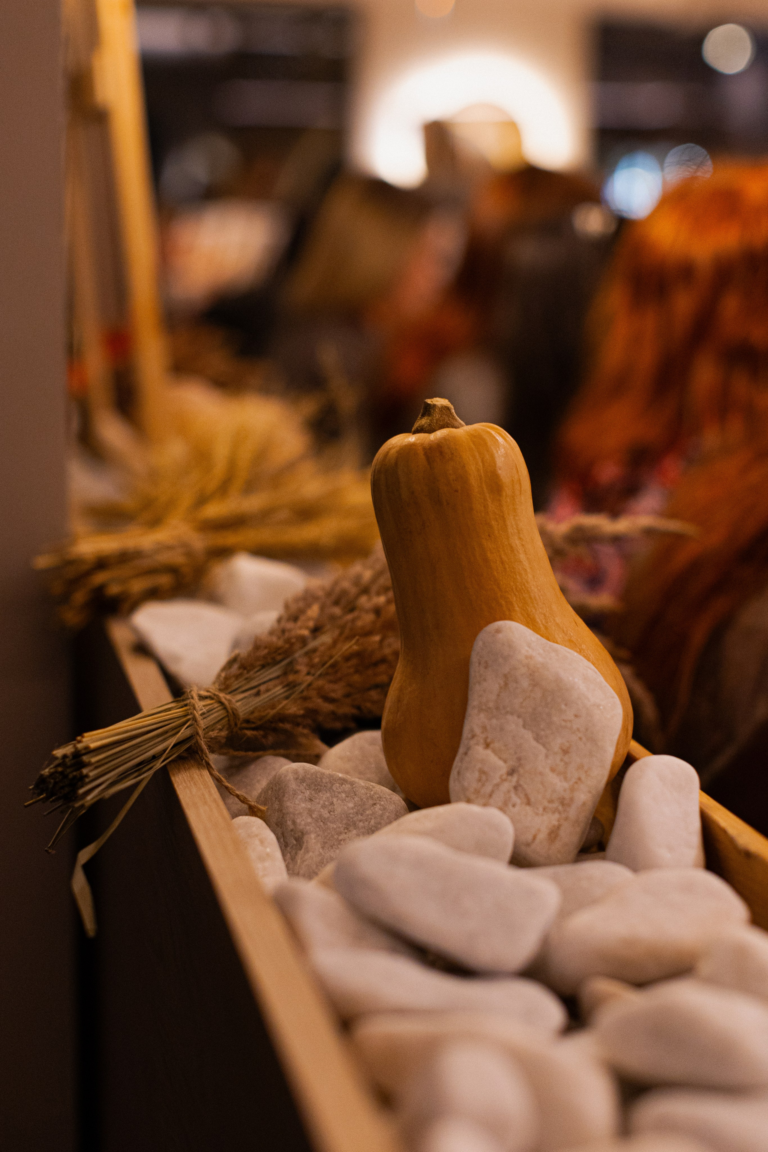 МК Тыква в кафе Здрасте. Анастасия Ракчеева Художник