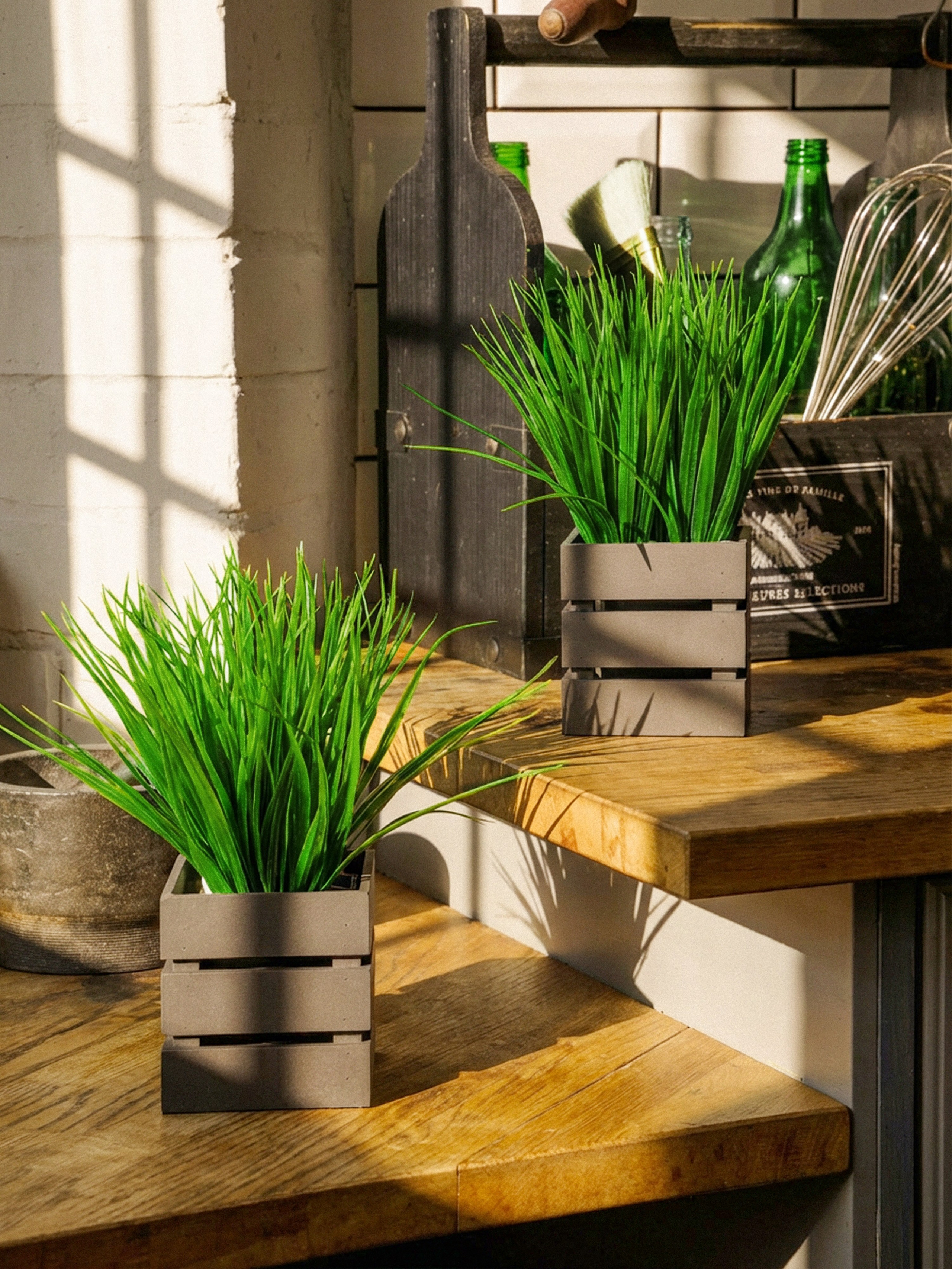 Кашпо. Макаров Сергей|Creamlebot Фотограф города Ростов-на-Дону