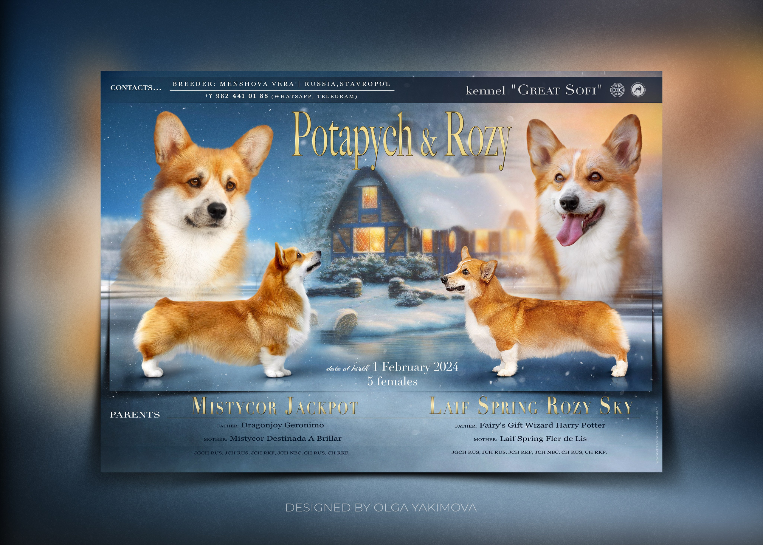 Animal presentation. Фотограф