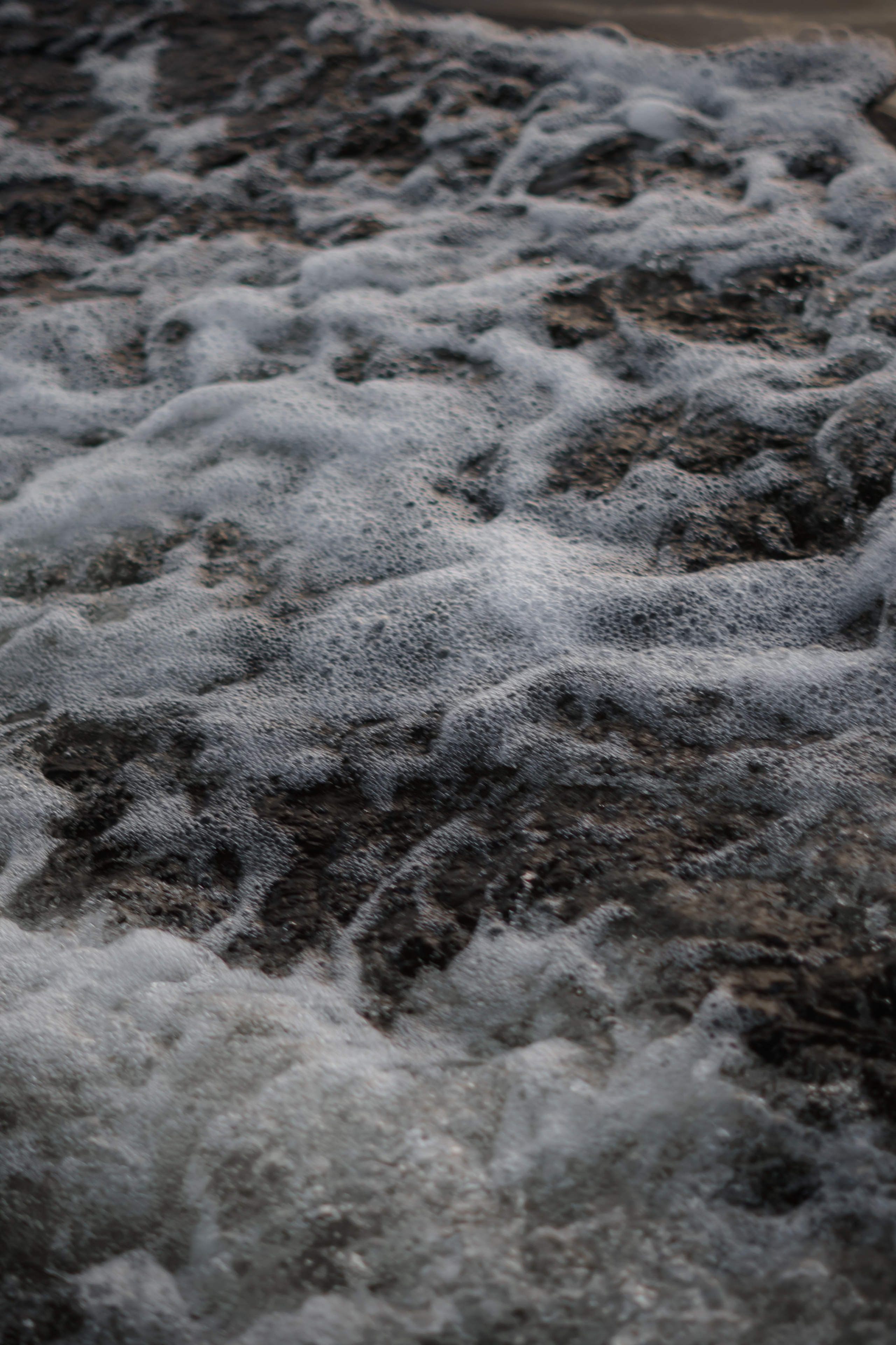 Рома и софа. Фотограф Валерия Крахмалева