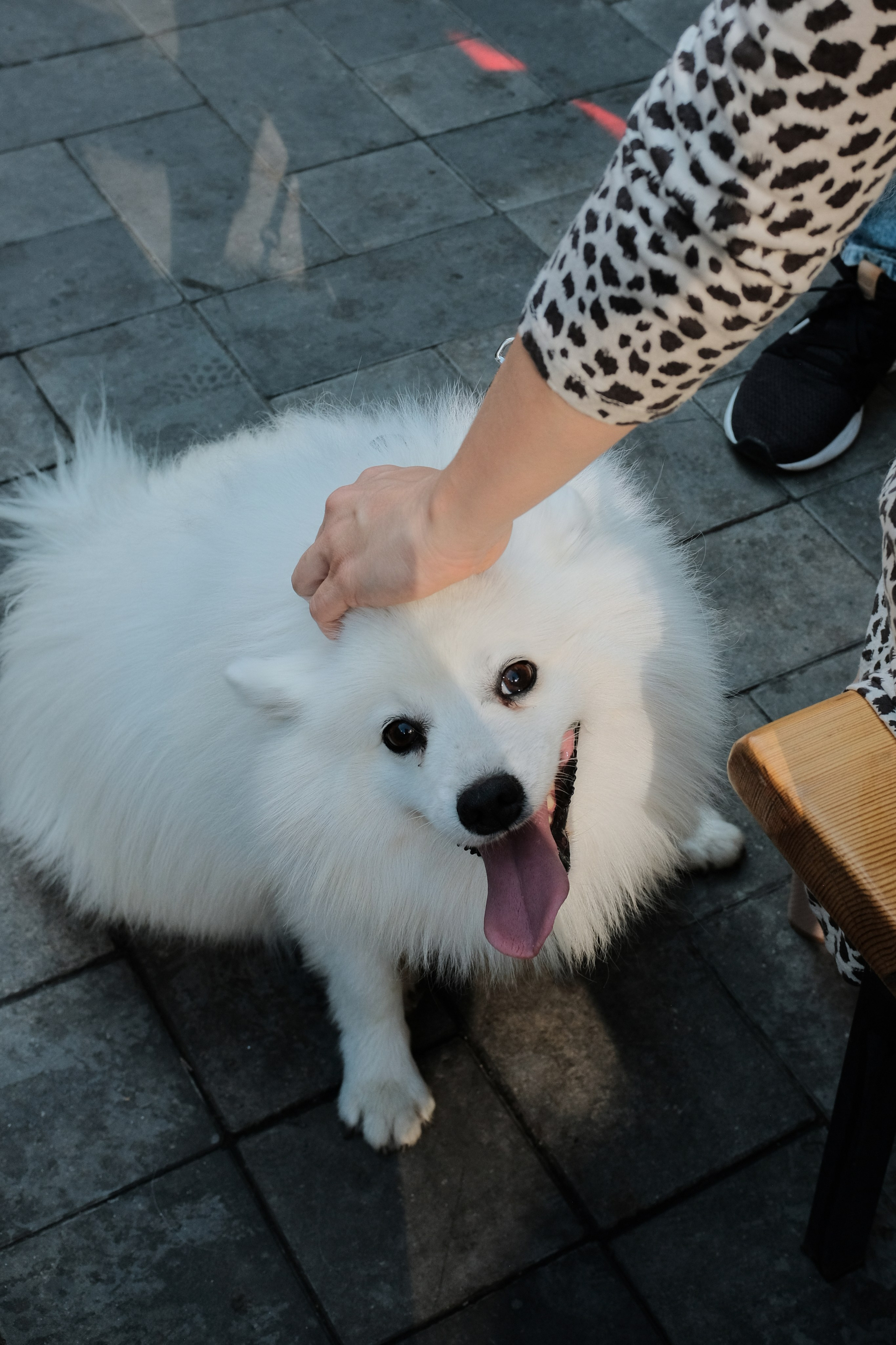 Rostov-on-Don. Creative travel photographer — Berg Daria