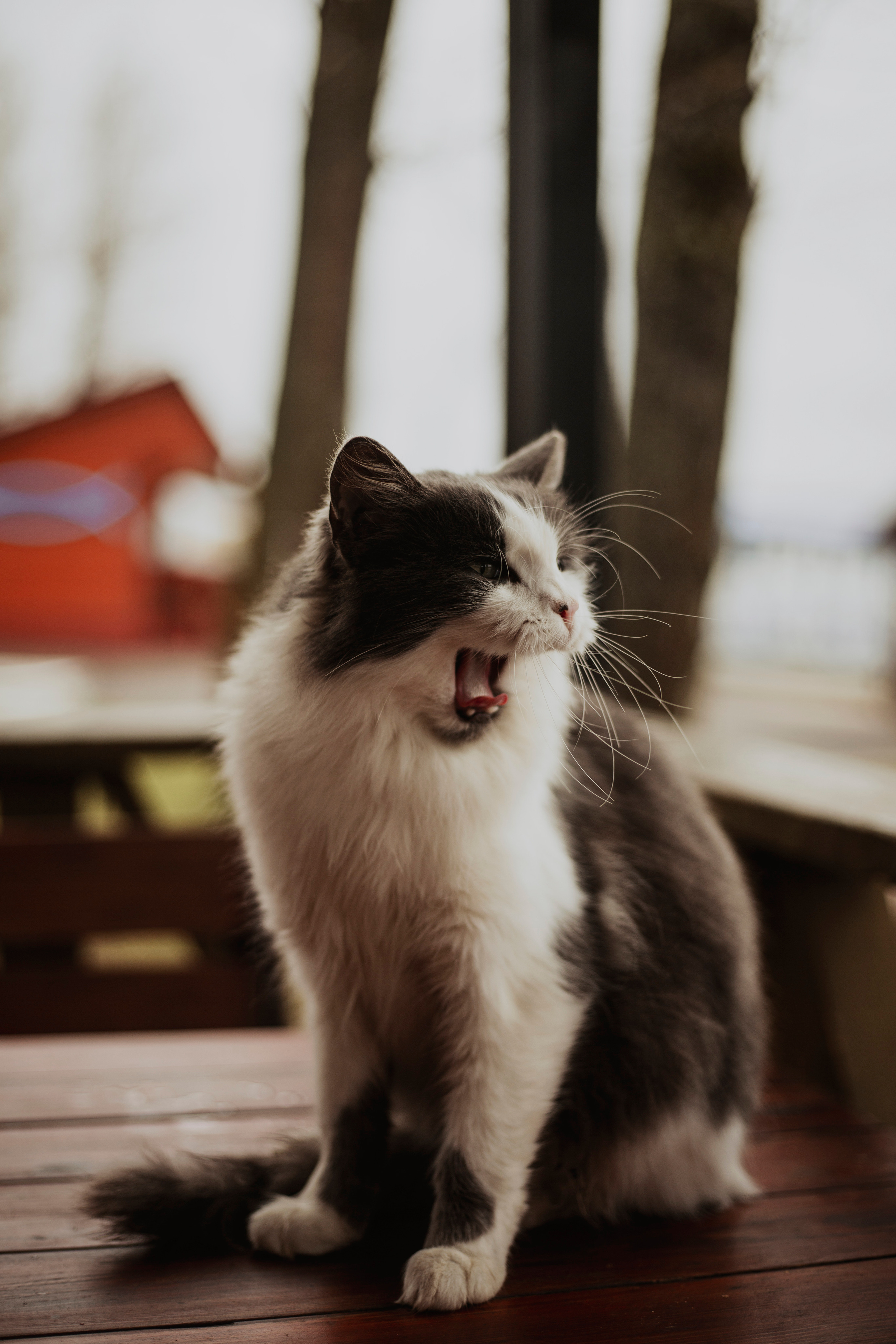 Sasha&Vanya. Фотограф и видеограф Мария Банщикова, Солнечногорск, Москва