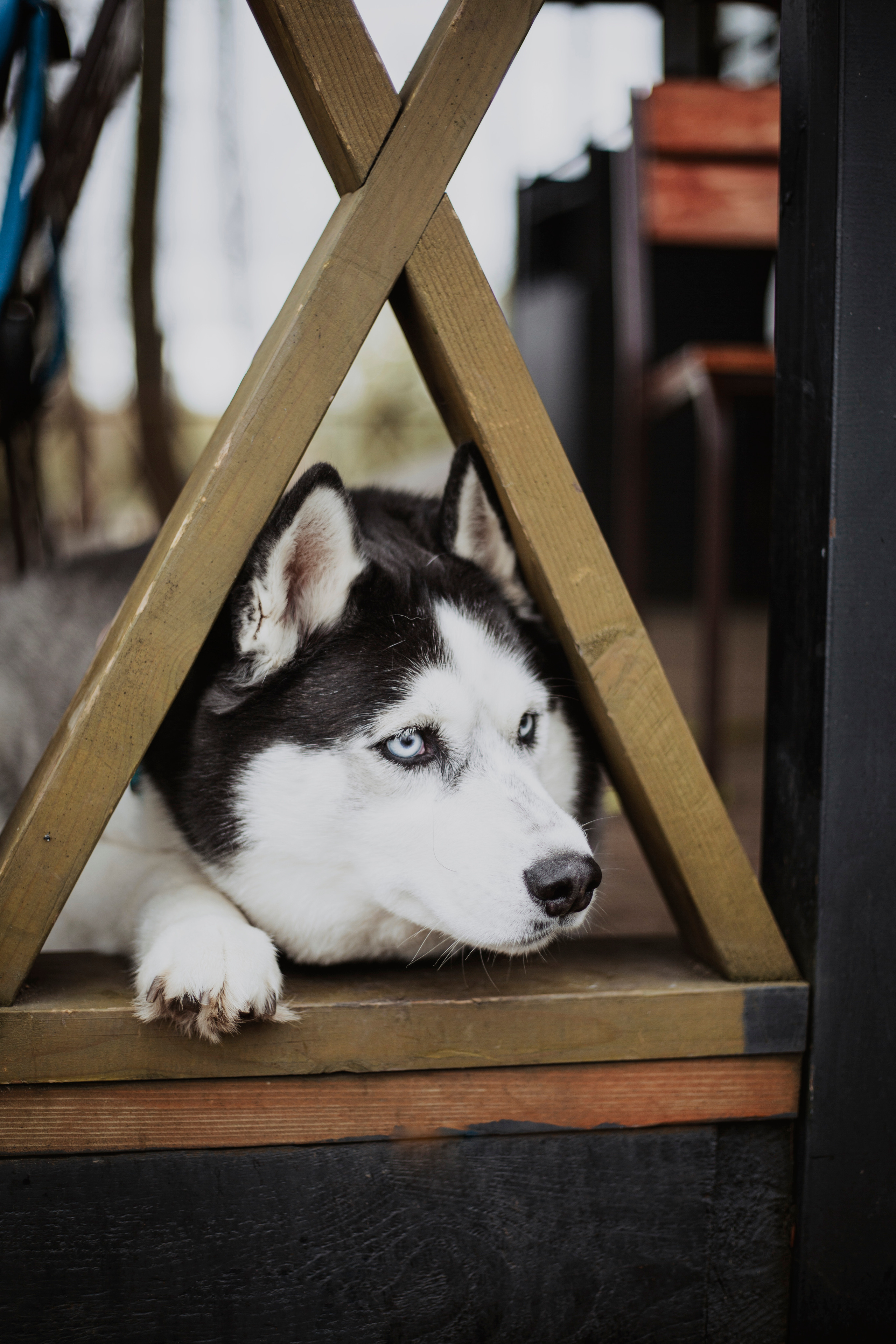 Sasha&Vanya. Фотограф и видеограф Мария Банщикова, Солнечногорск, Москва