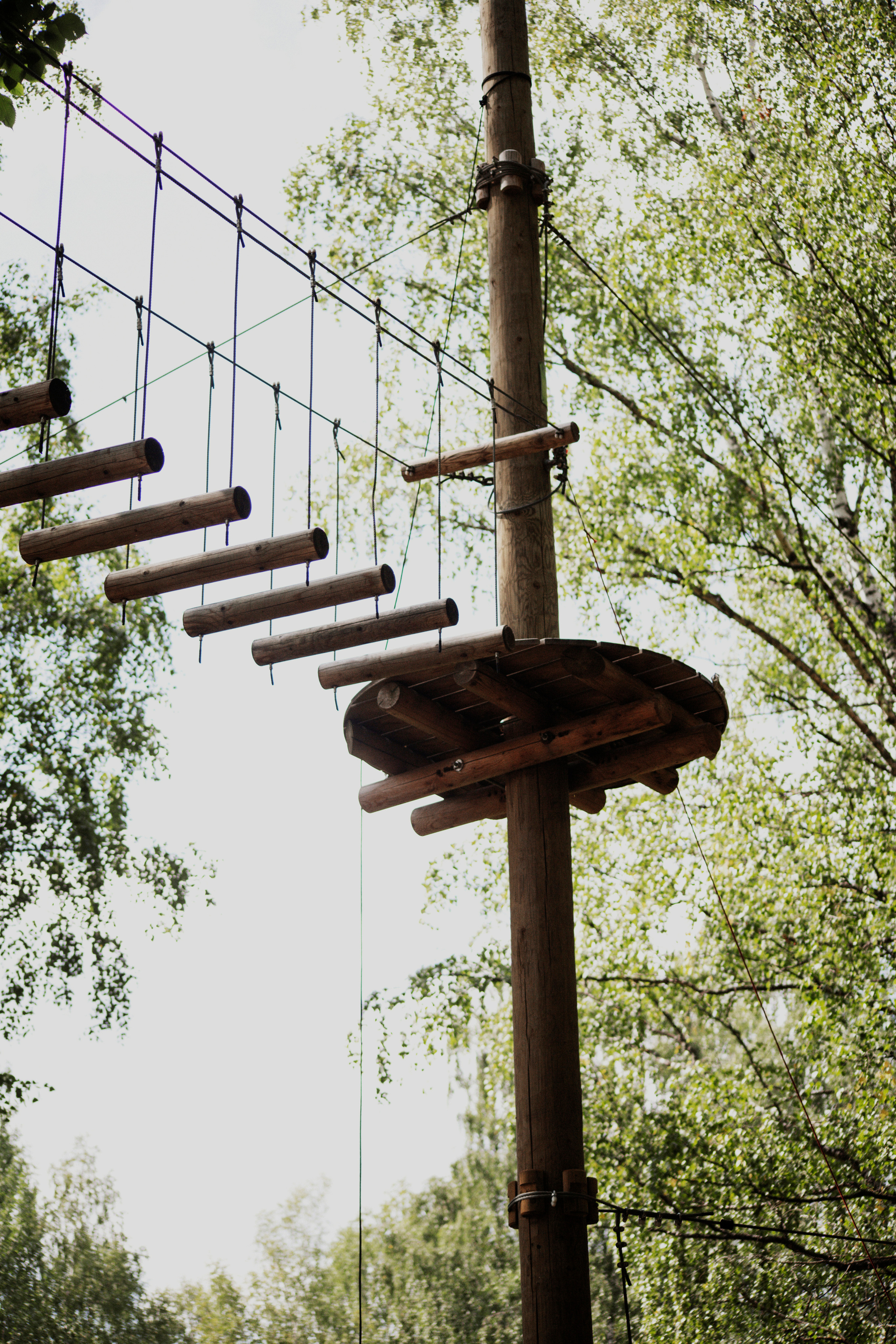 Федя. Фотограф и видеограф Мария Банщикова, Солнечногорск, Москва