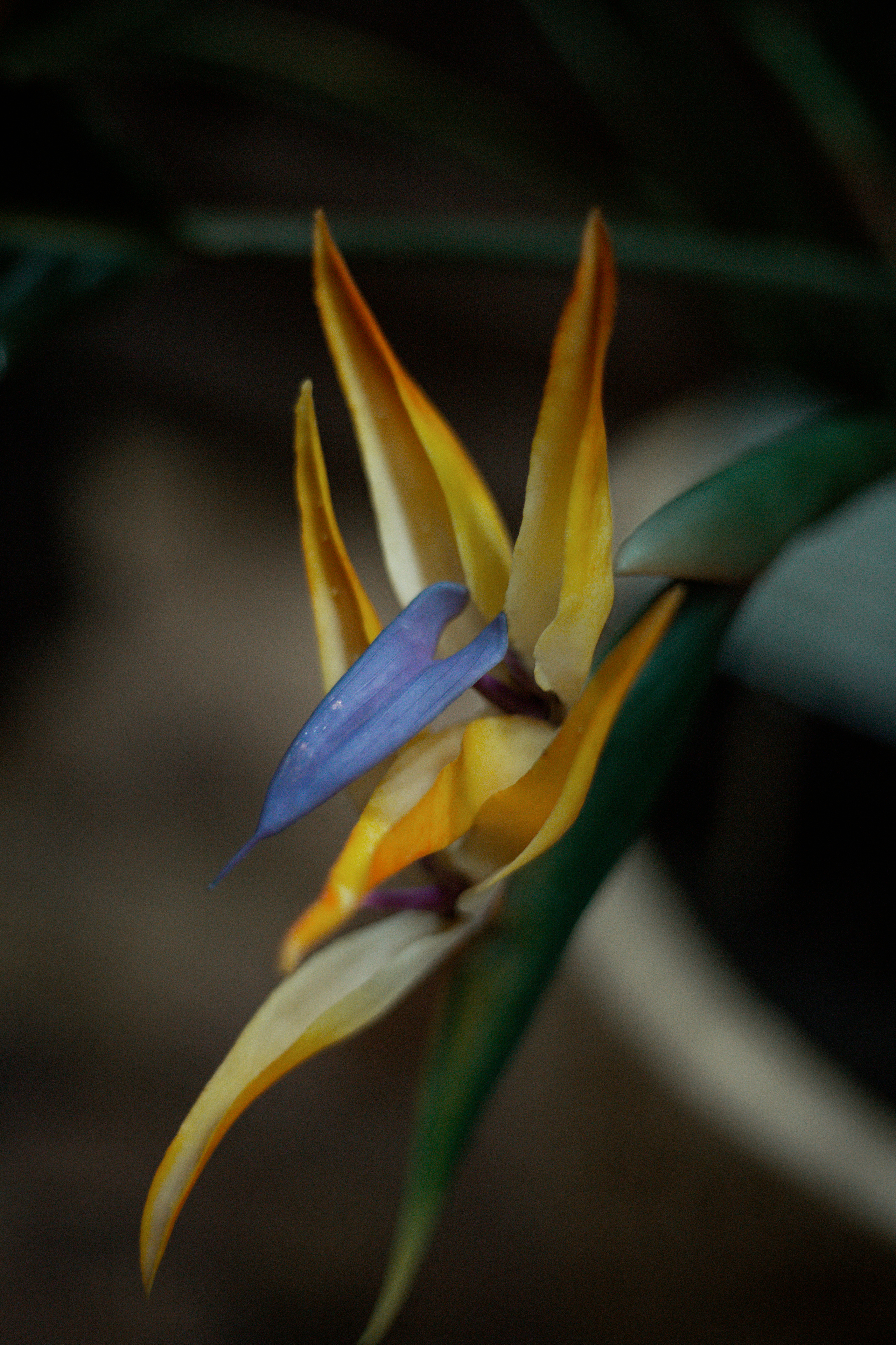 Кабардинка 22. Фотограф и видеограф Мария Банщикова, Солнечногорск, Москва