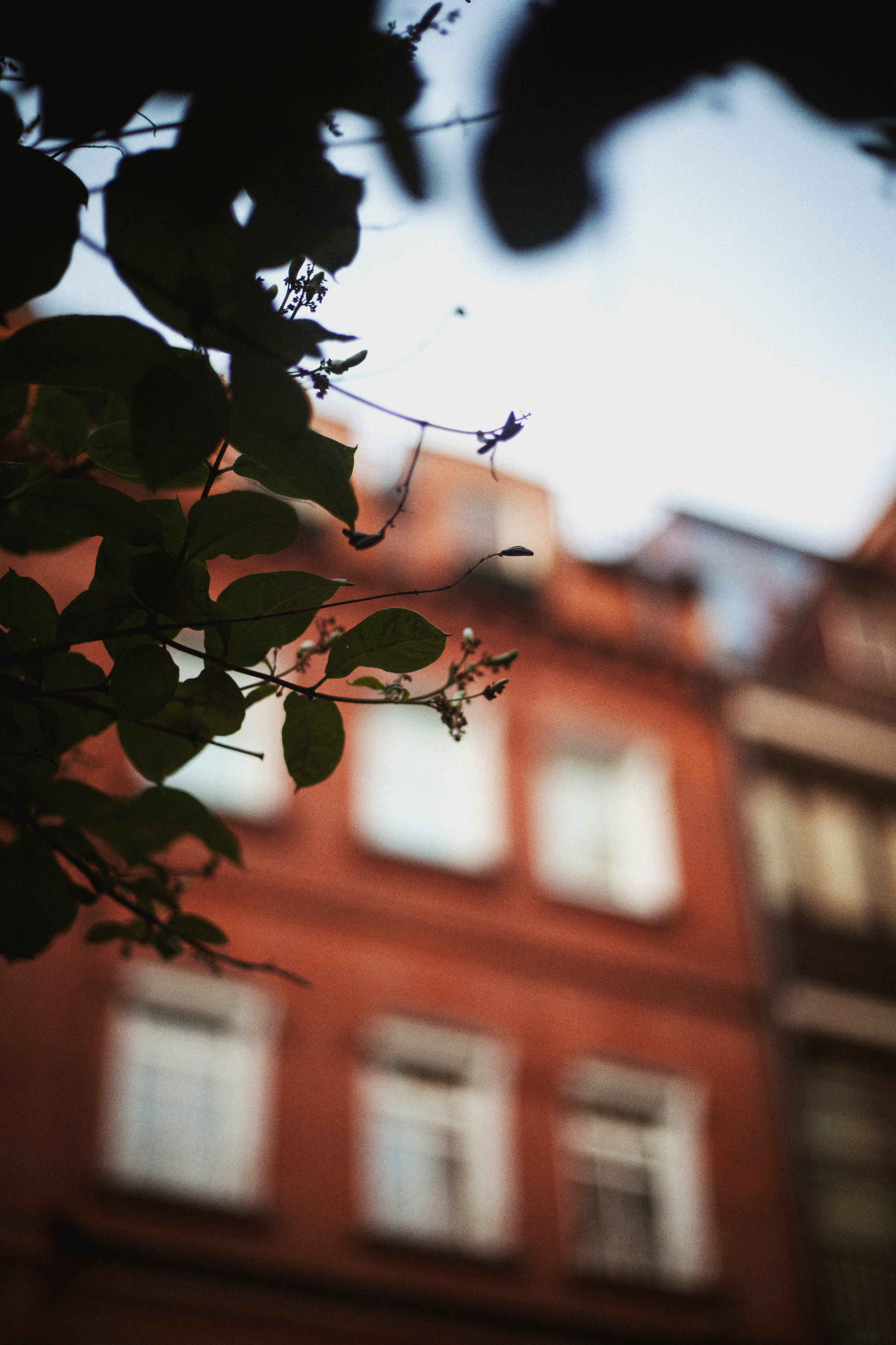 P&V. Фотограф и видеограф Мария Банщикова, Солнечногорск, Москва