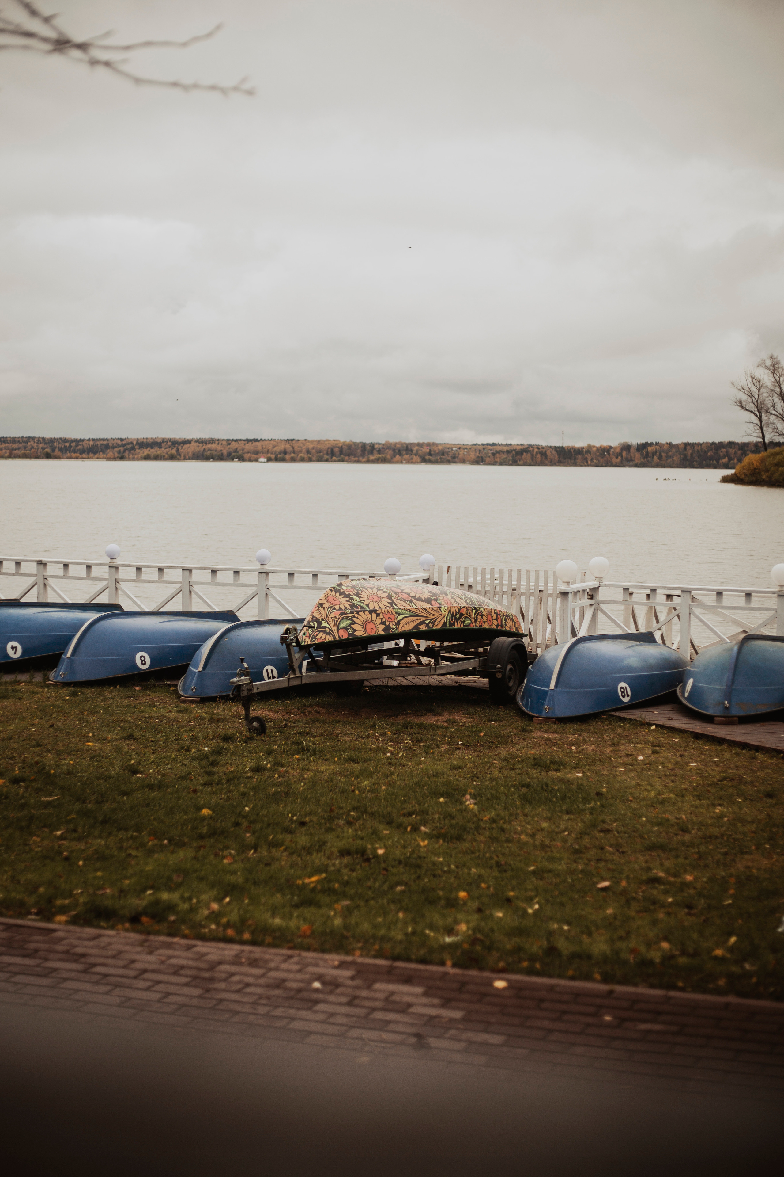 Sasha&Vanya. Фотограф и видеограф Мария Банщикова, Солнечногорск, Москва