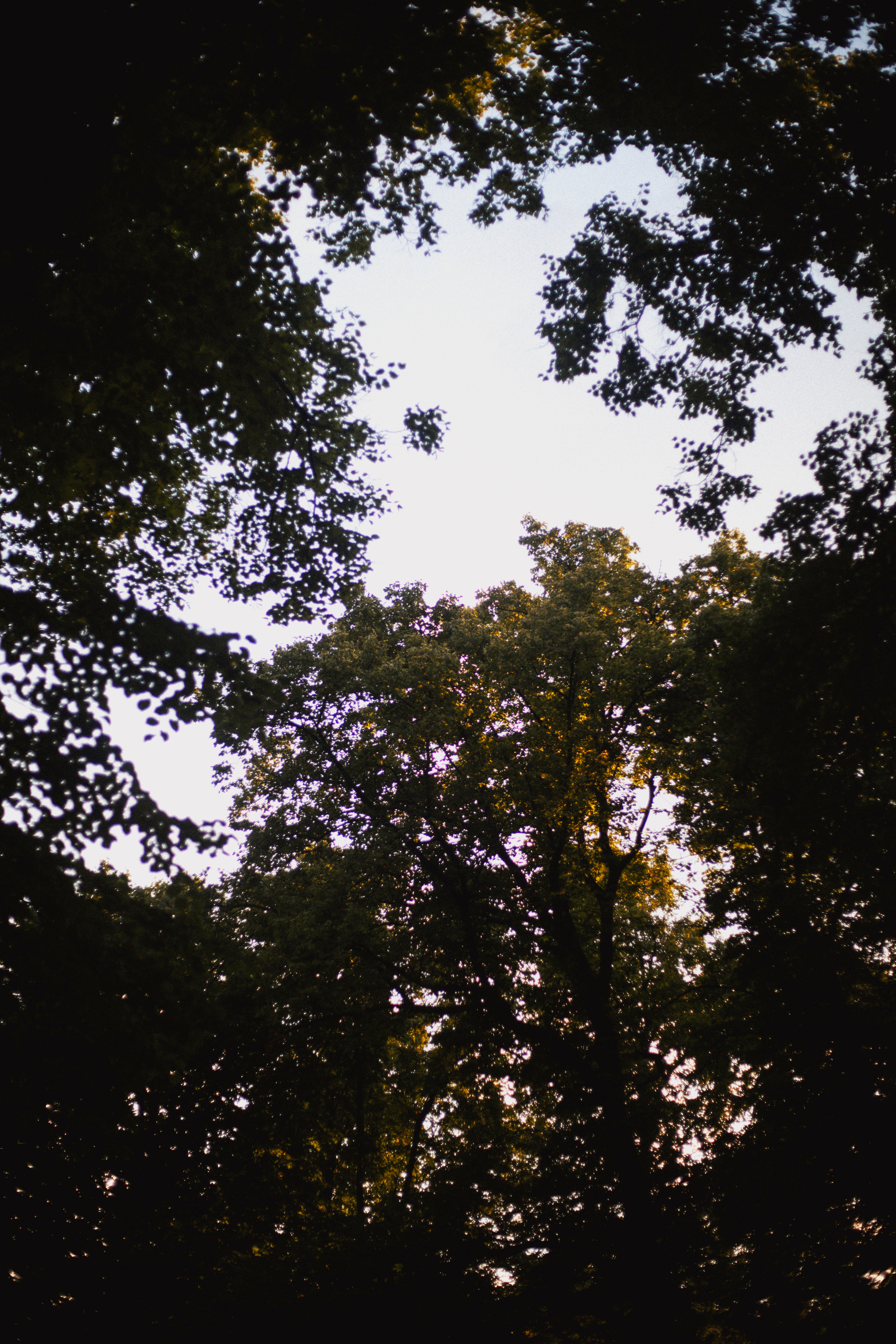 P&V. Фотограф и видеограф Мария Банщикова, Солнечногорск, Москва