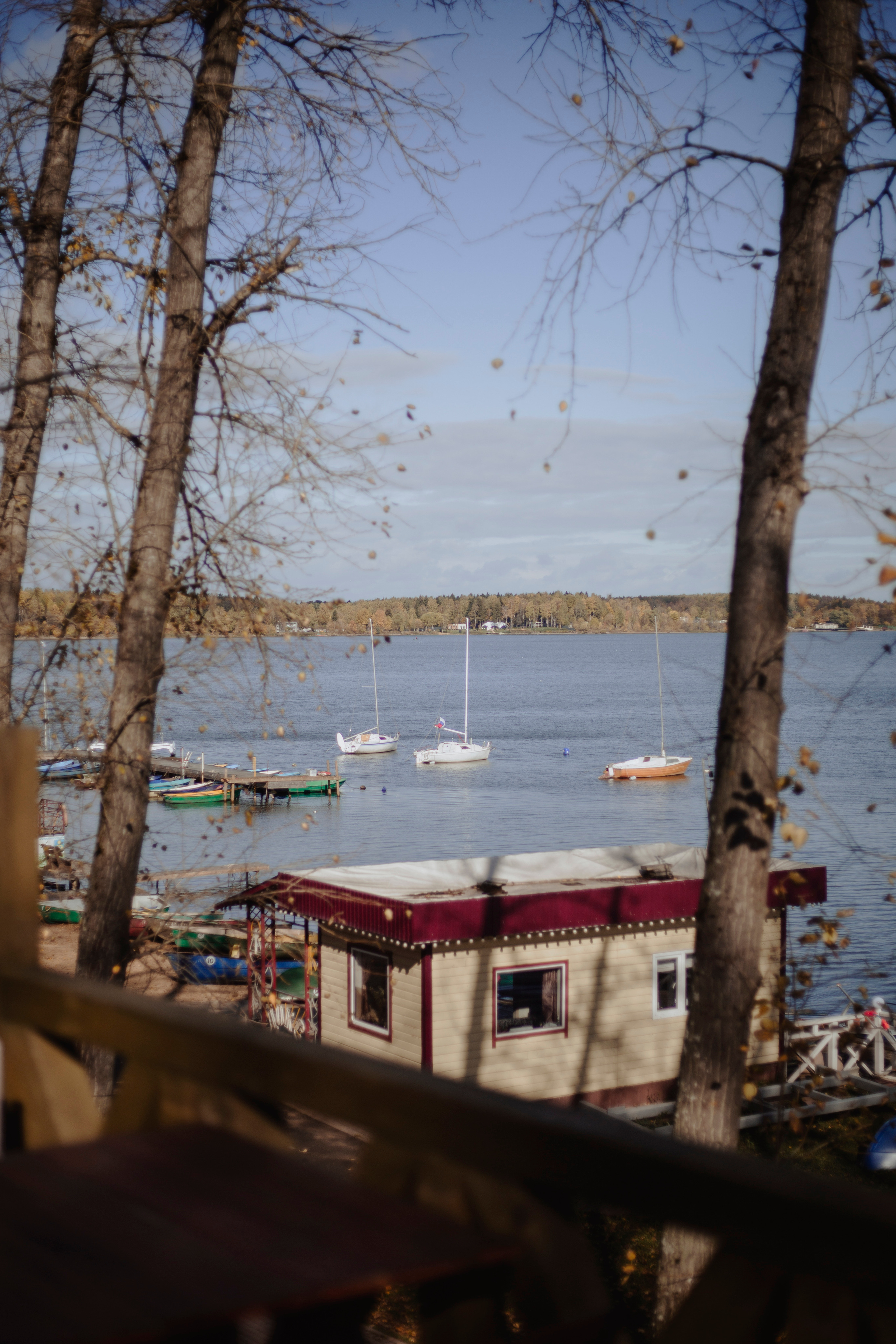 Natasha&Milasha. Фотограф и видеограф Мария Банщикова, Солнечногорск, Москва