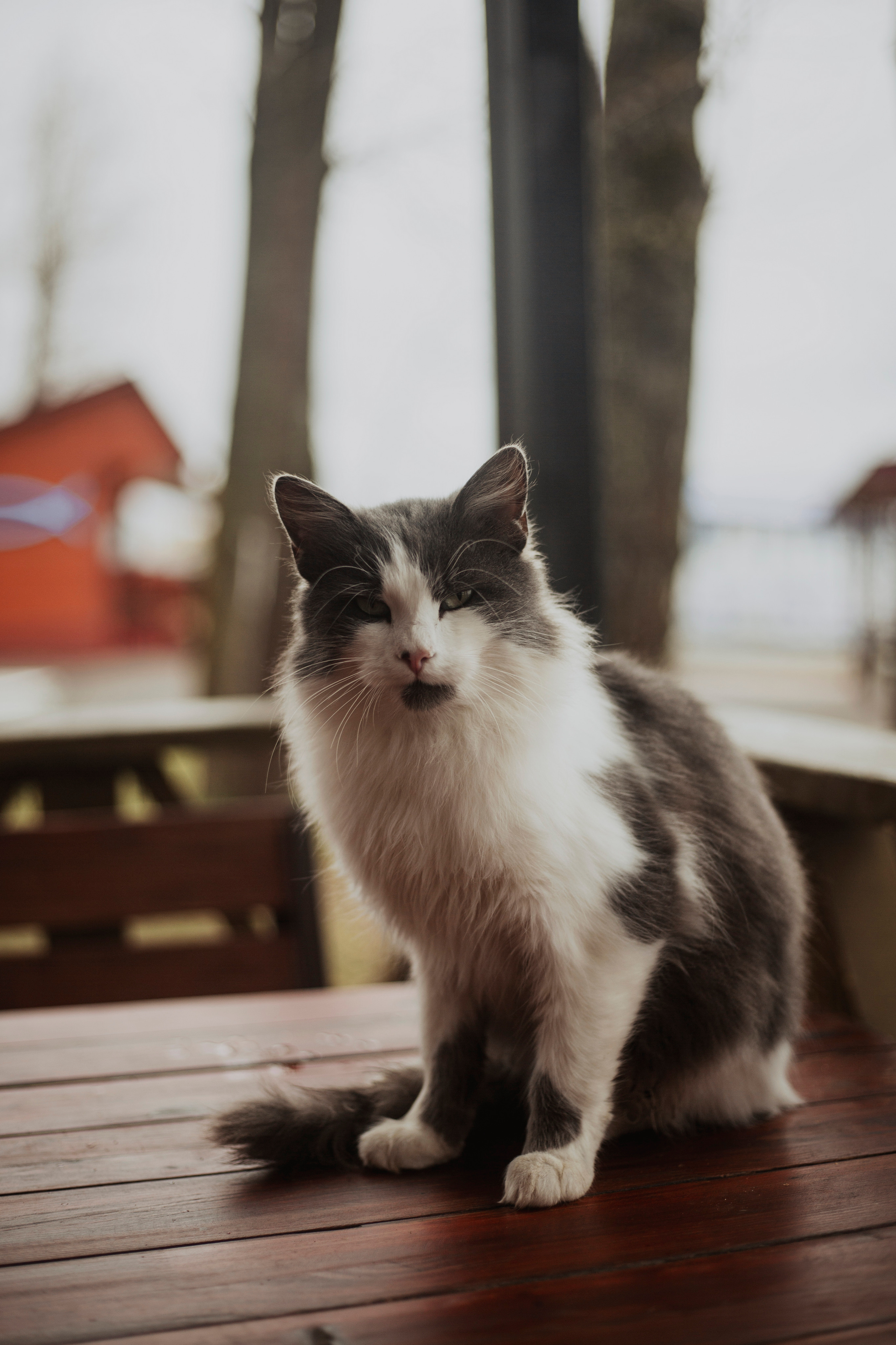 Sasha&Vanya. Фотограф и видеограф Мария Банщикова, Солнечногорск, Москва