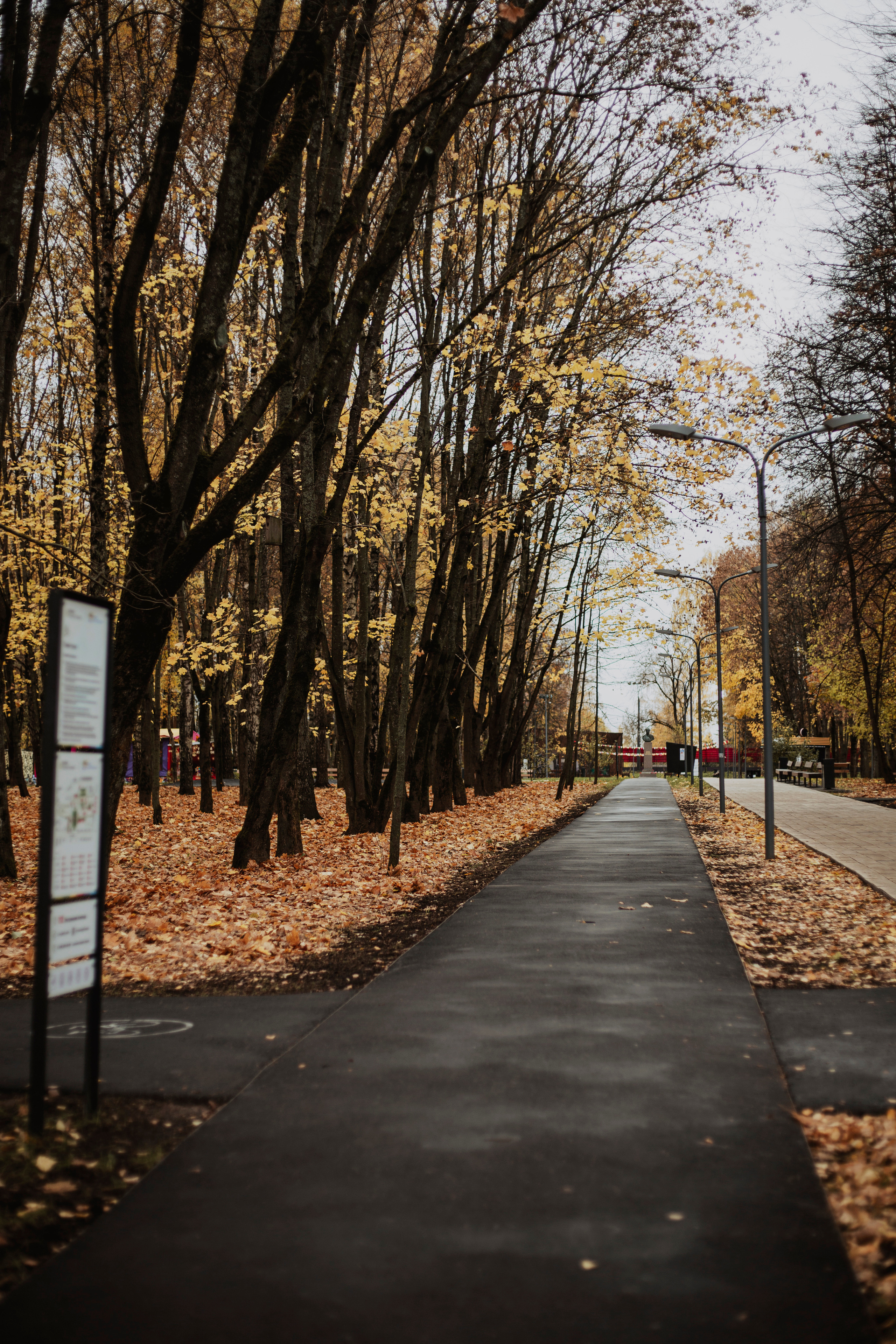 Sasha&Vanya. Фотограф и видеограф Мария Банщикова, Солнечногорск, Москва