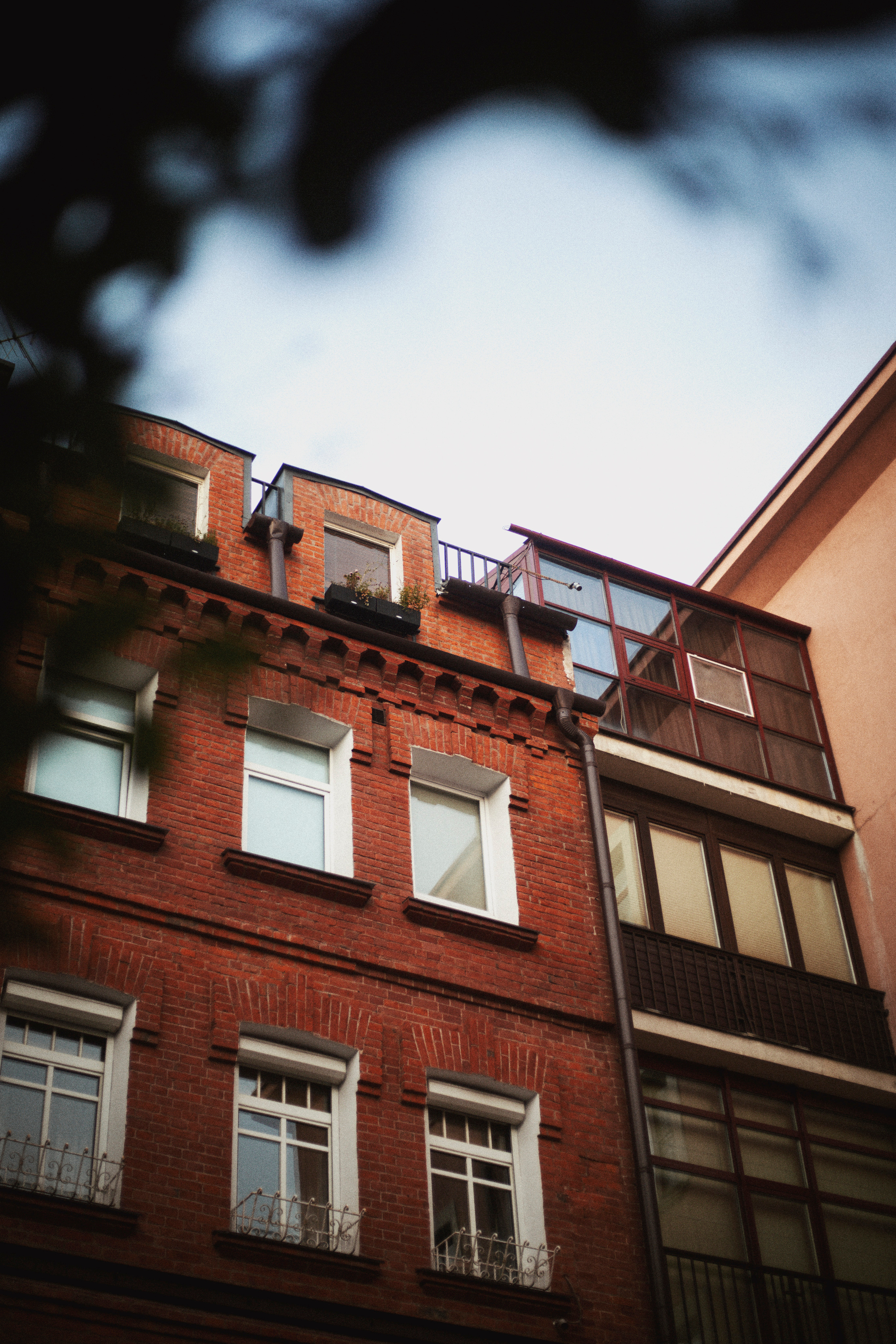 P&V. Фотограф и видеограф Мария Банщикова, Солнечногорск, Москва