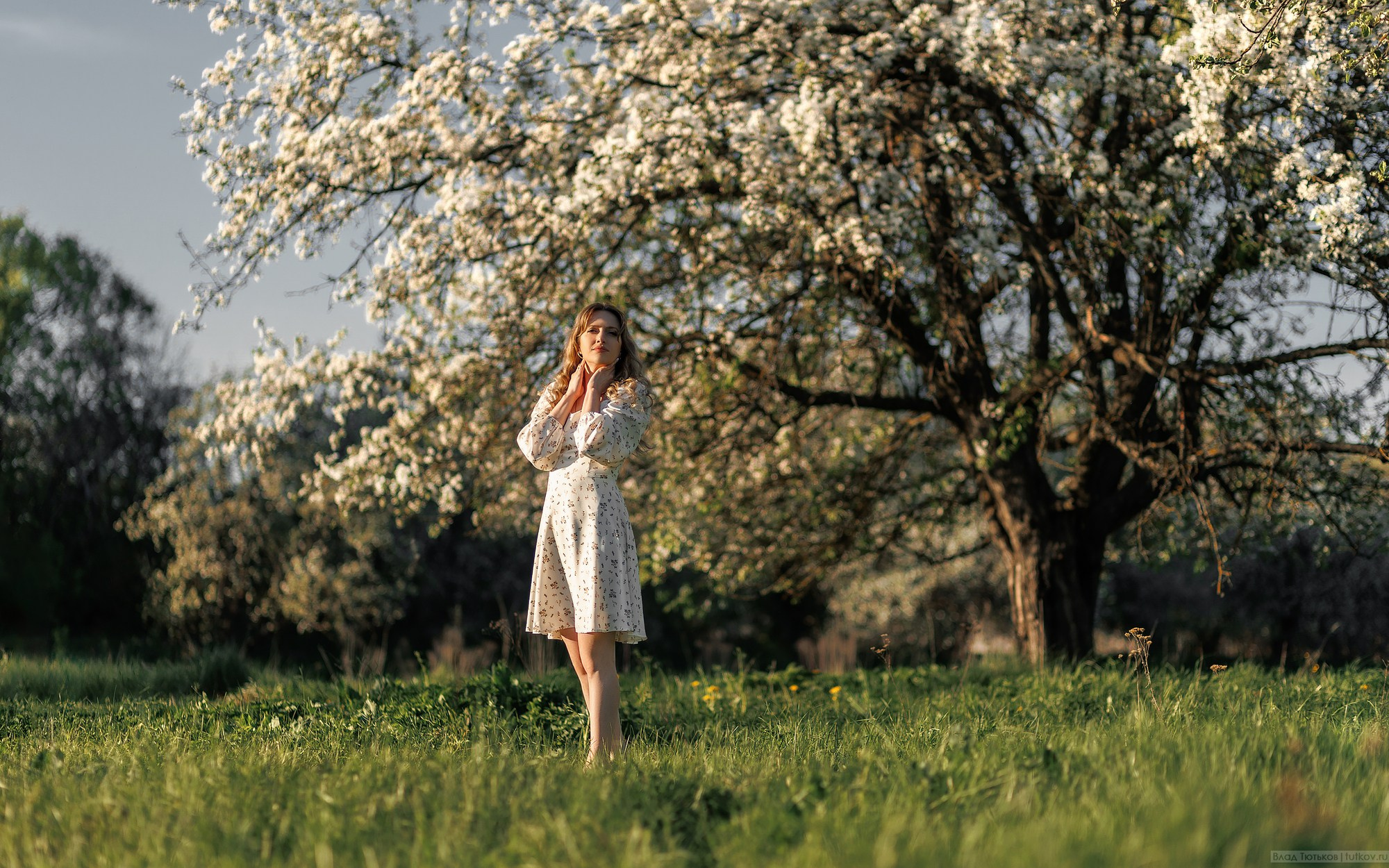 Семейные. Свадебная фотосъёмка в Брянске | Влад и Ирина Тютьковы
