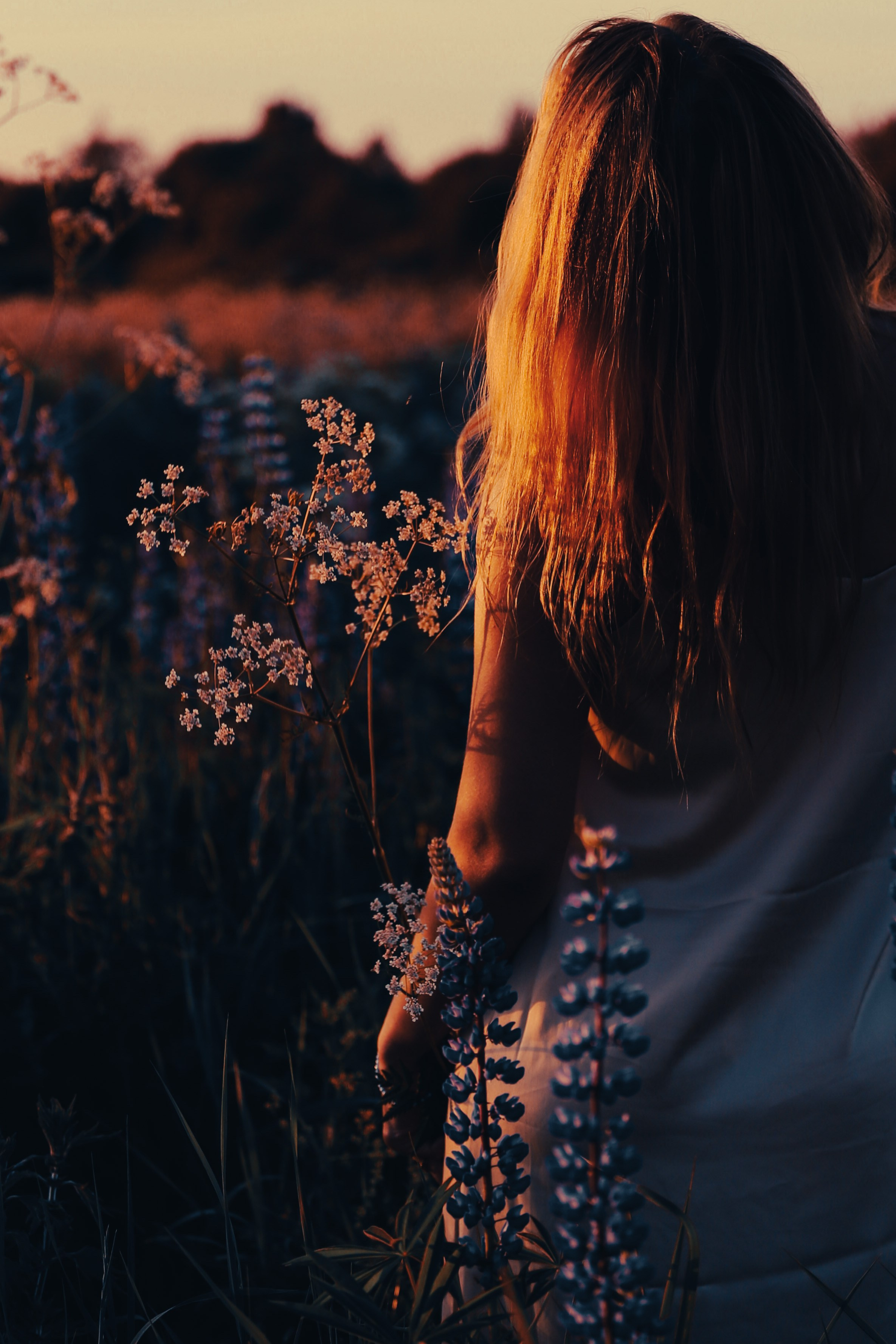 Среди люпинов. Efremovaphoto.ru