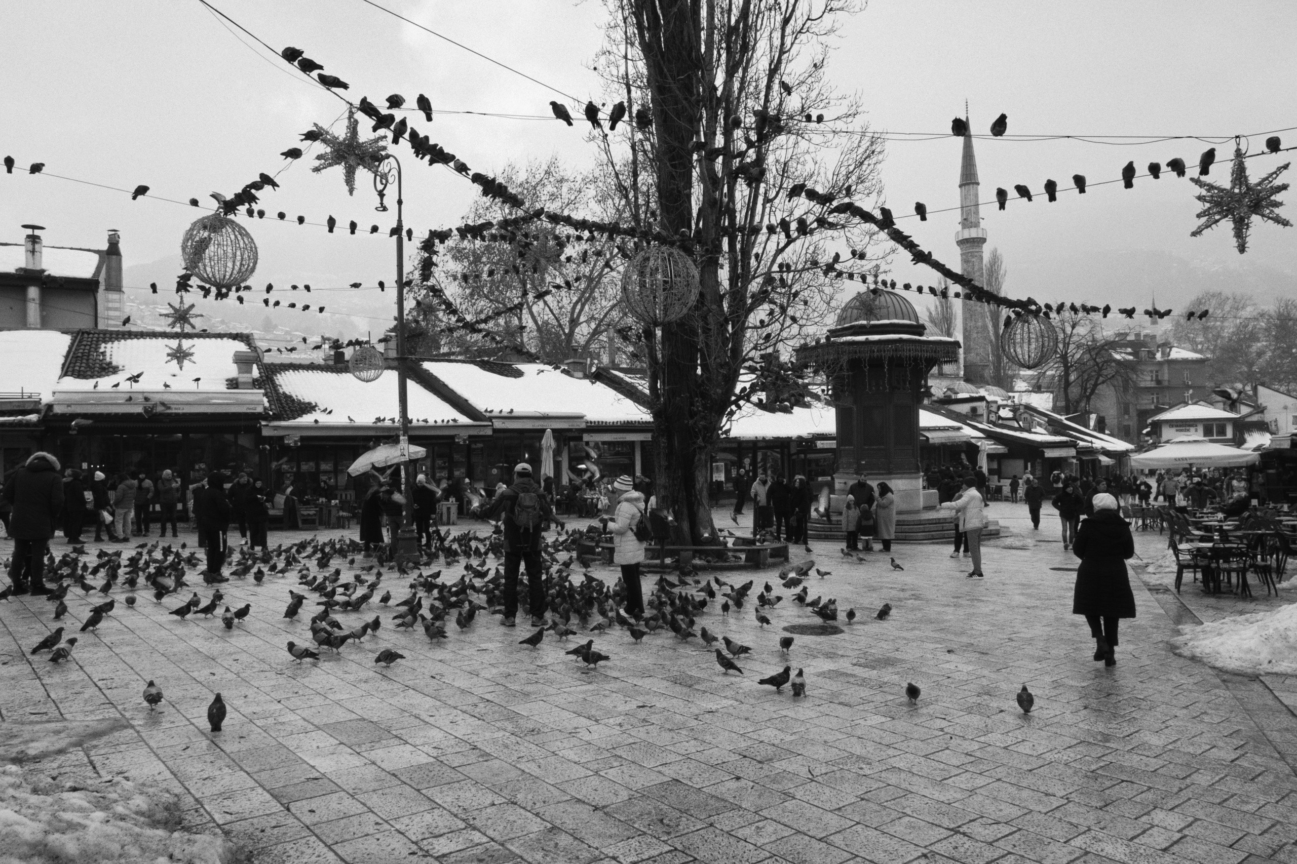 Sarajevo / Bosnia and Herzegovina AW26. Фотограф Юрин Евгений