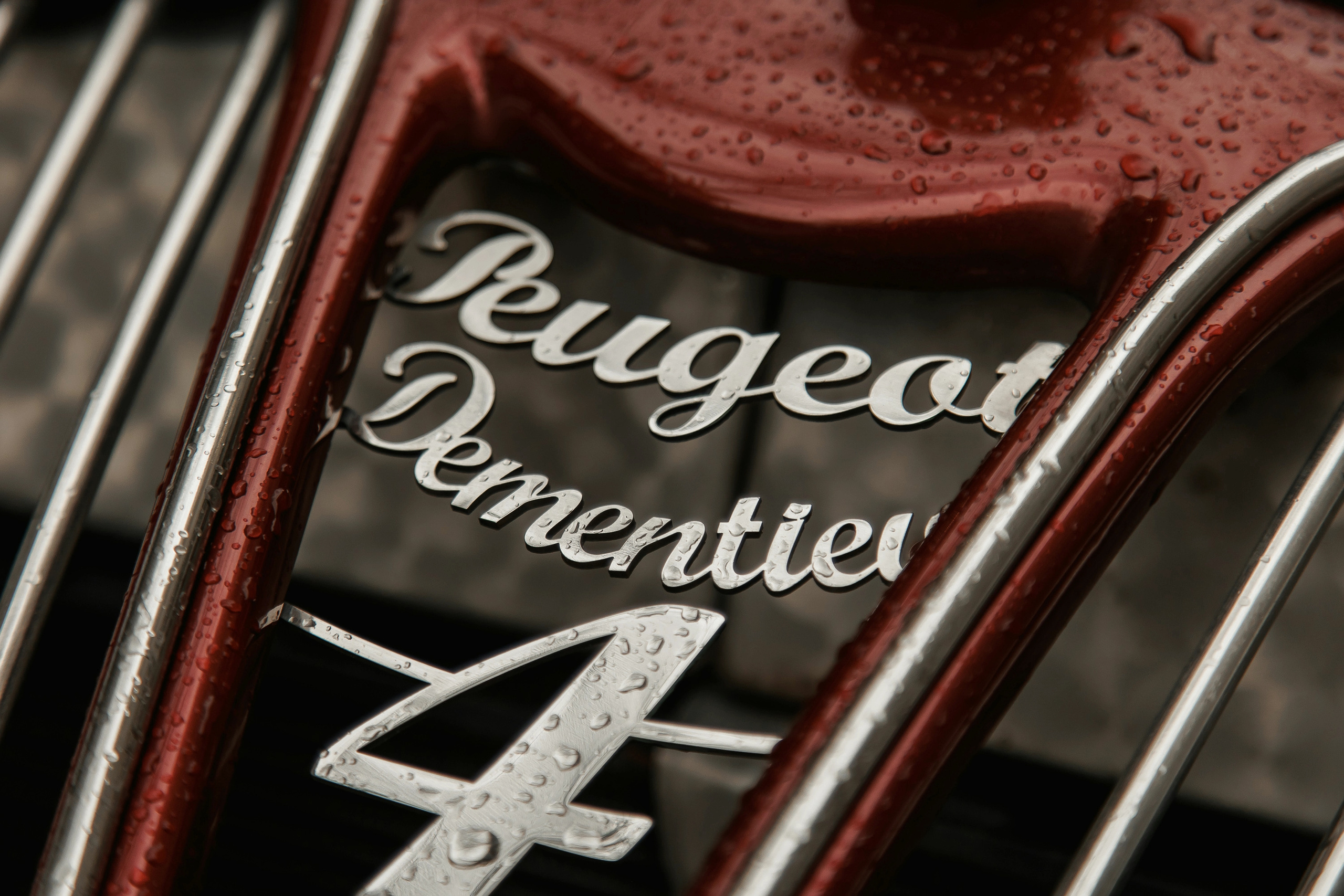 Свадьба Александры и Василия