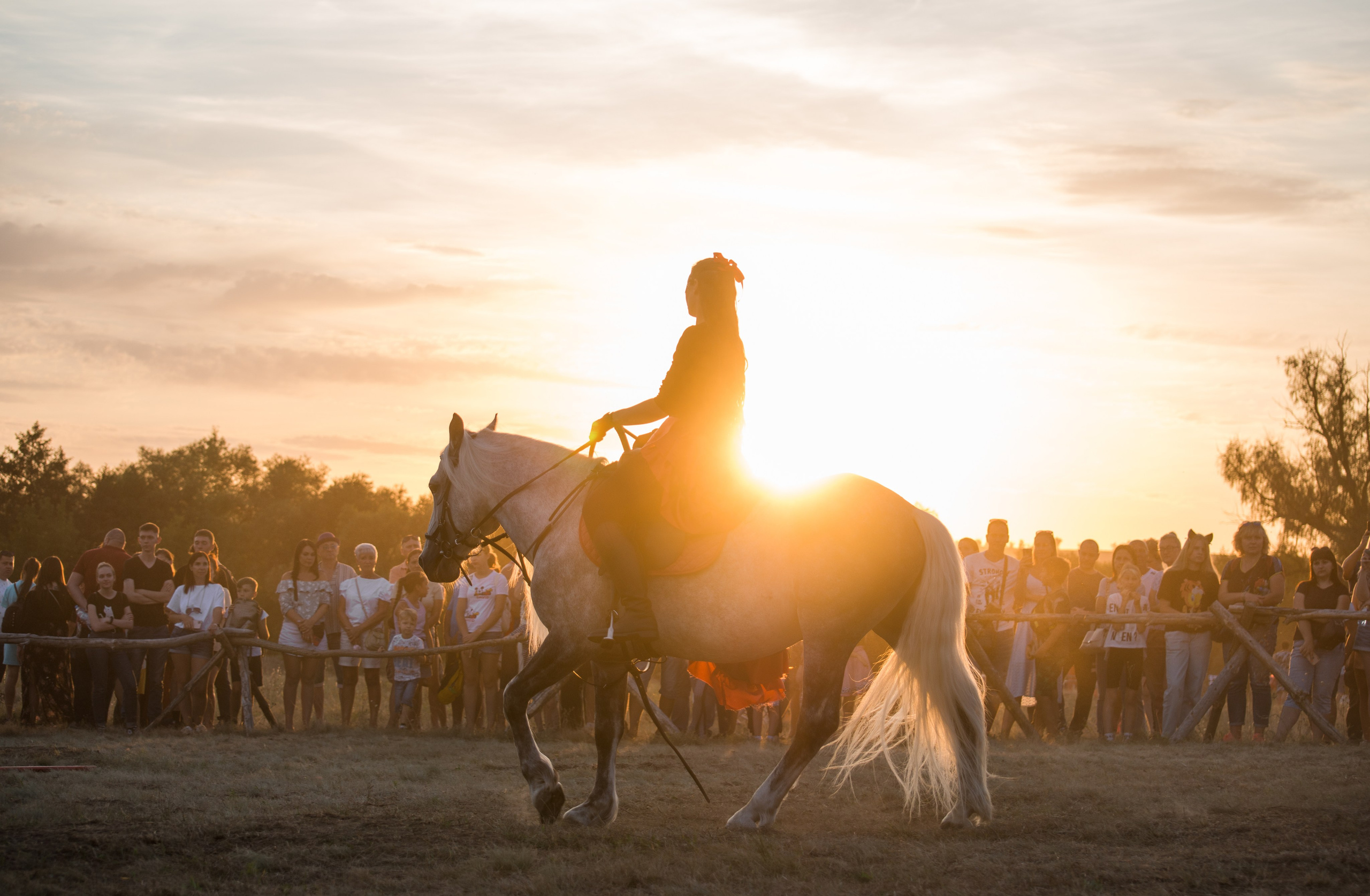 Карнавал Догвинтер. Конный фотограф в Саратове Юлия Иванова