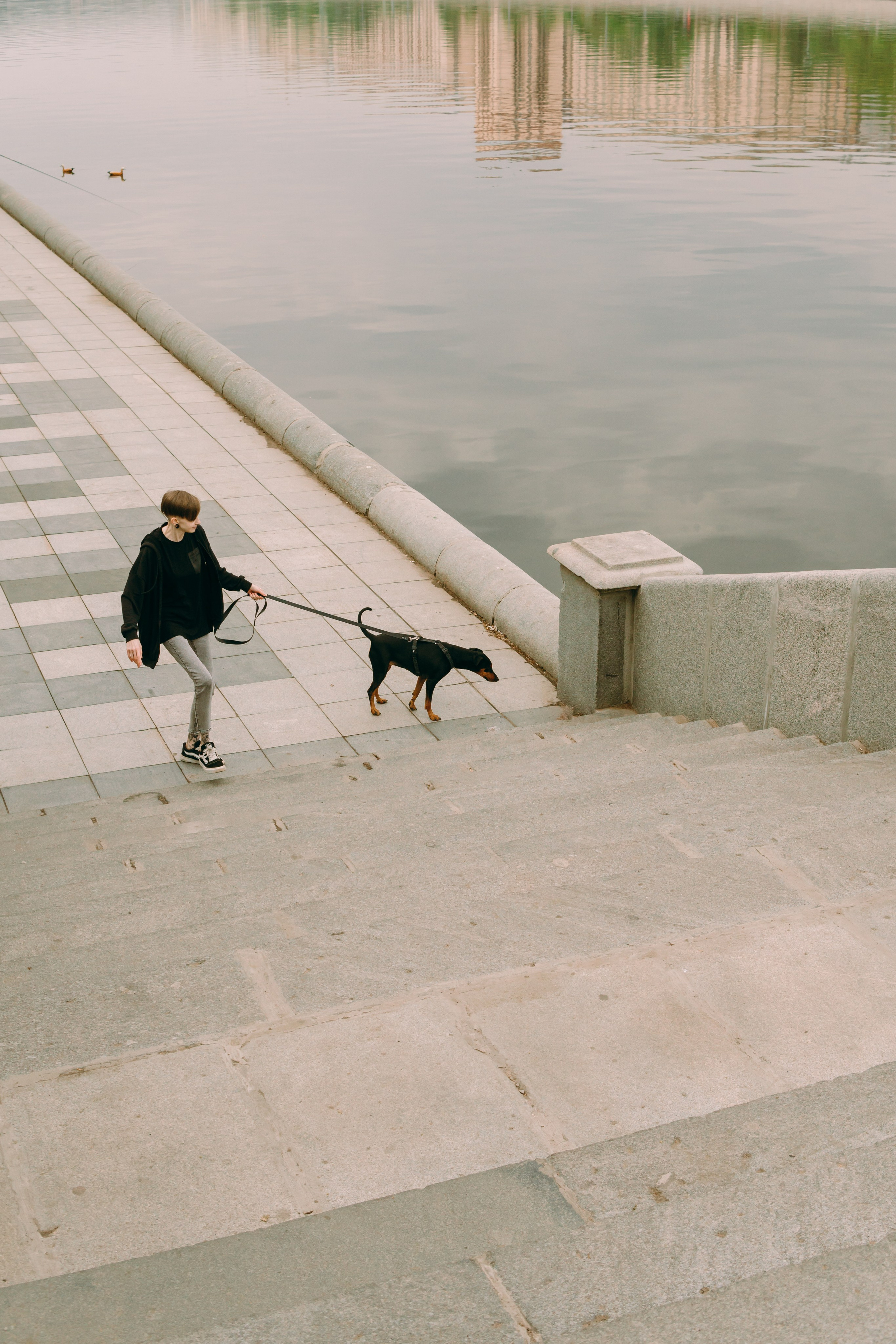 Кира, Максим и Аскара. Фотограф-анималист Ксения Воробьева, Москва