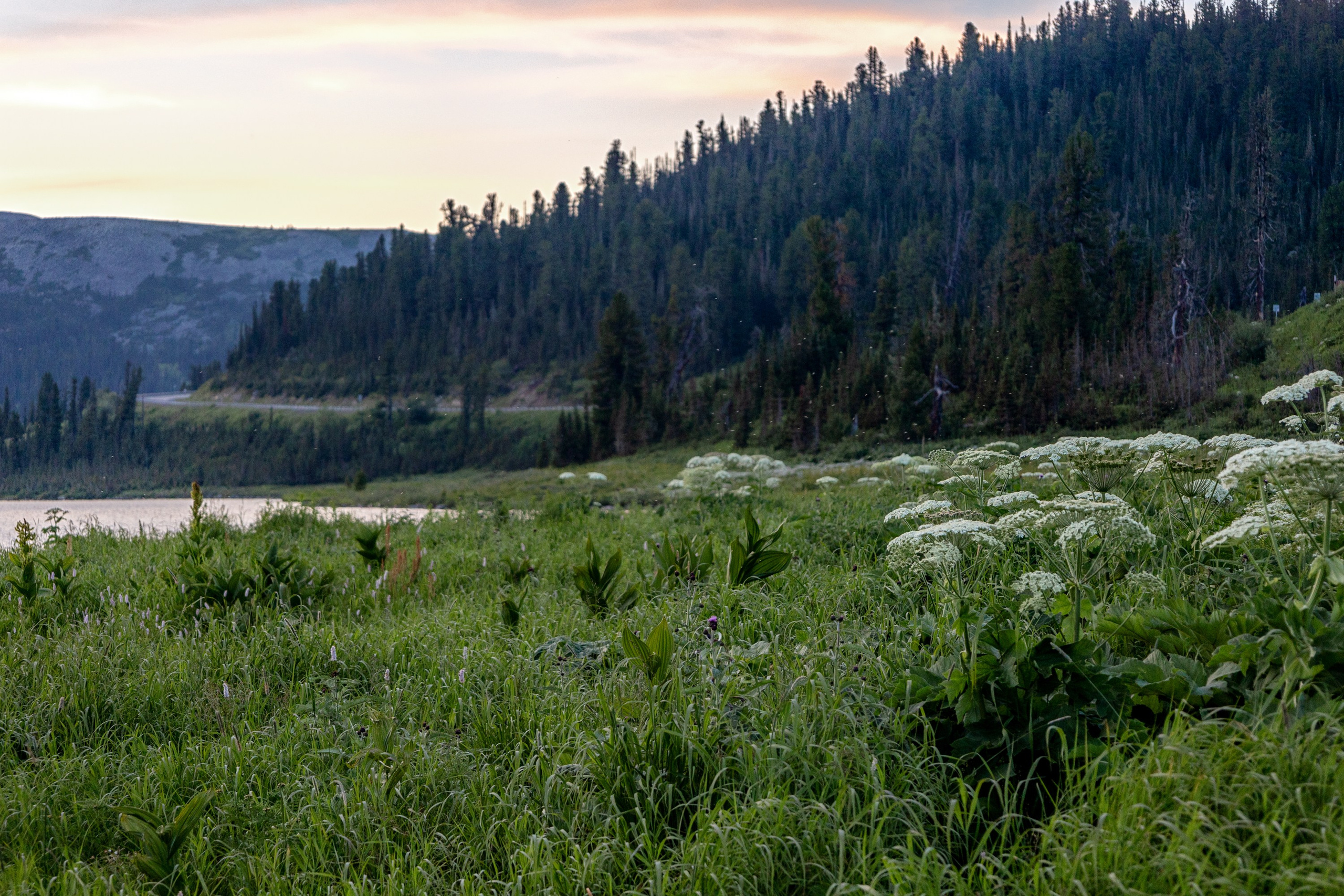 Ергаки. Семейный и детский фотограф в Красноярске, Дивногорцева Светлана
