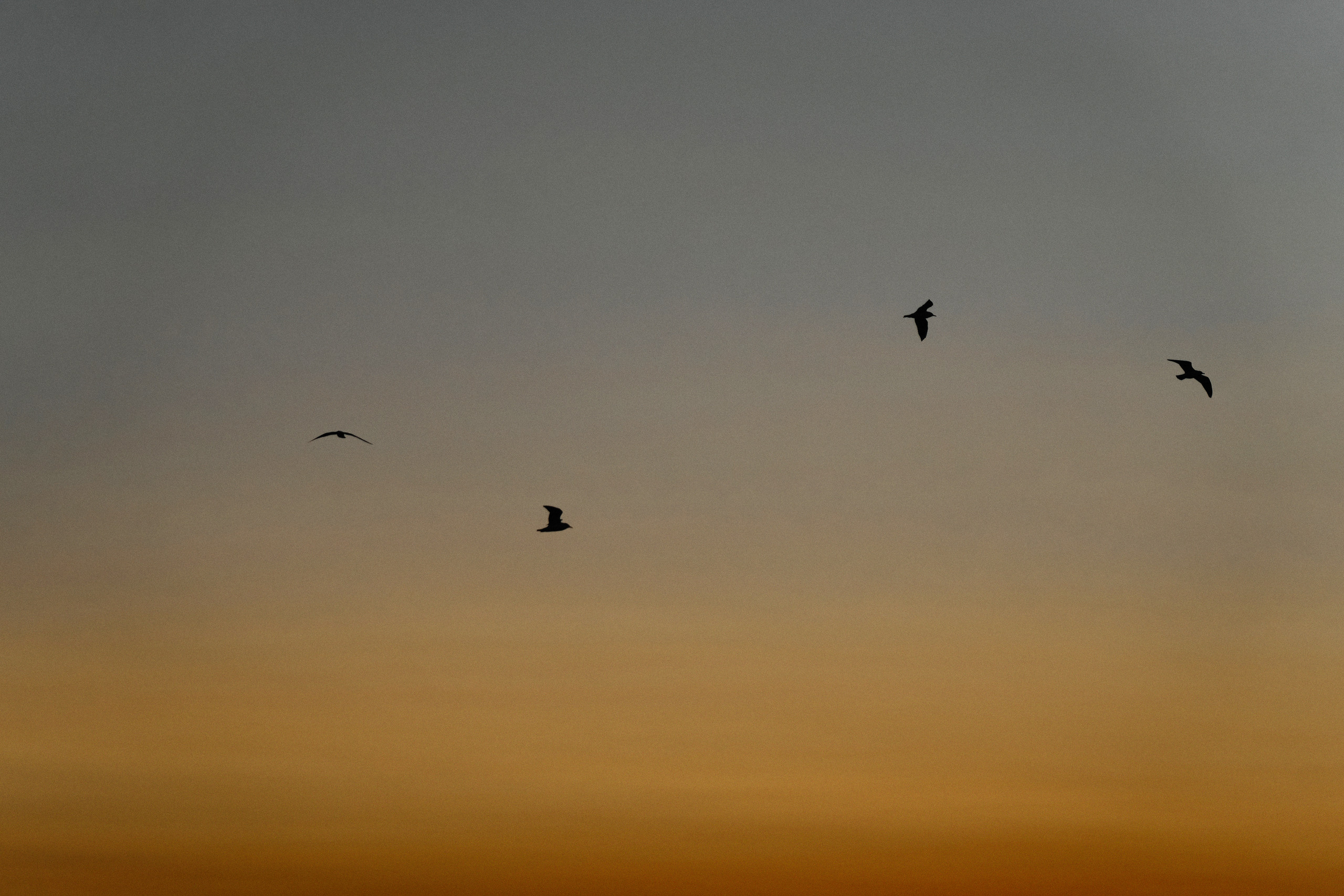 Свадебный фотограф Ростов-на-Дону Краснодар Москва Петербург. Свадебный фотограф в Ростовe-на-Дону Анастасия Прутова