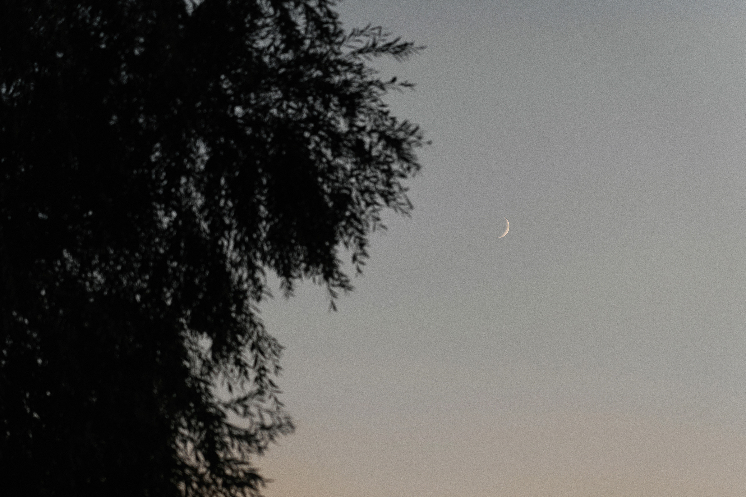 Свадебный фотограф Ростов-на-Дону Краснодар Москва Петербург. Свадебный фотограф в Ростовe-на-Дону Анастасия Прутова