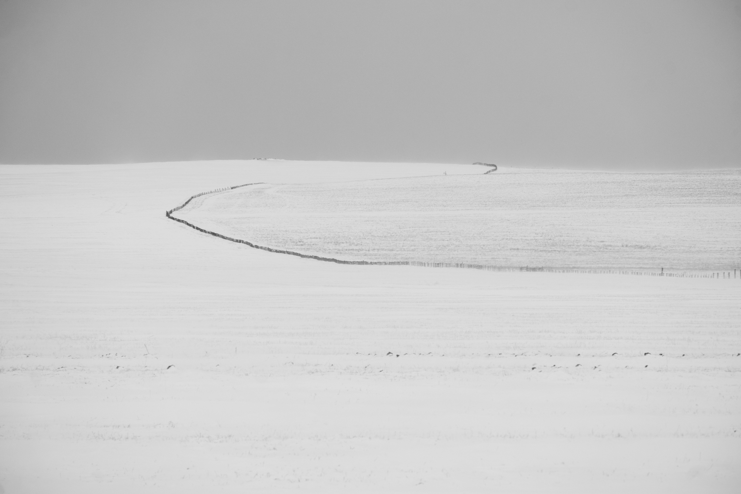 Silence. Irina Borodina