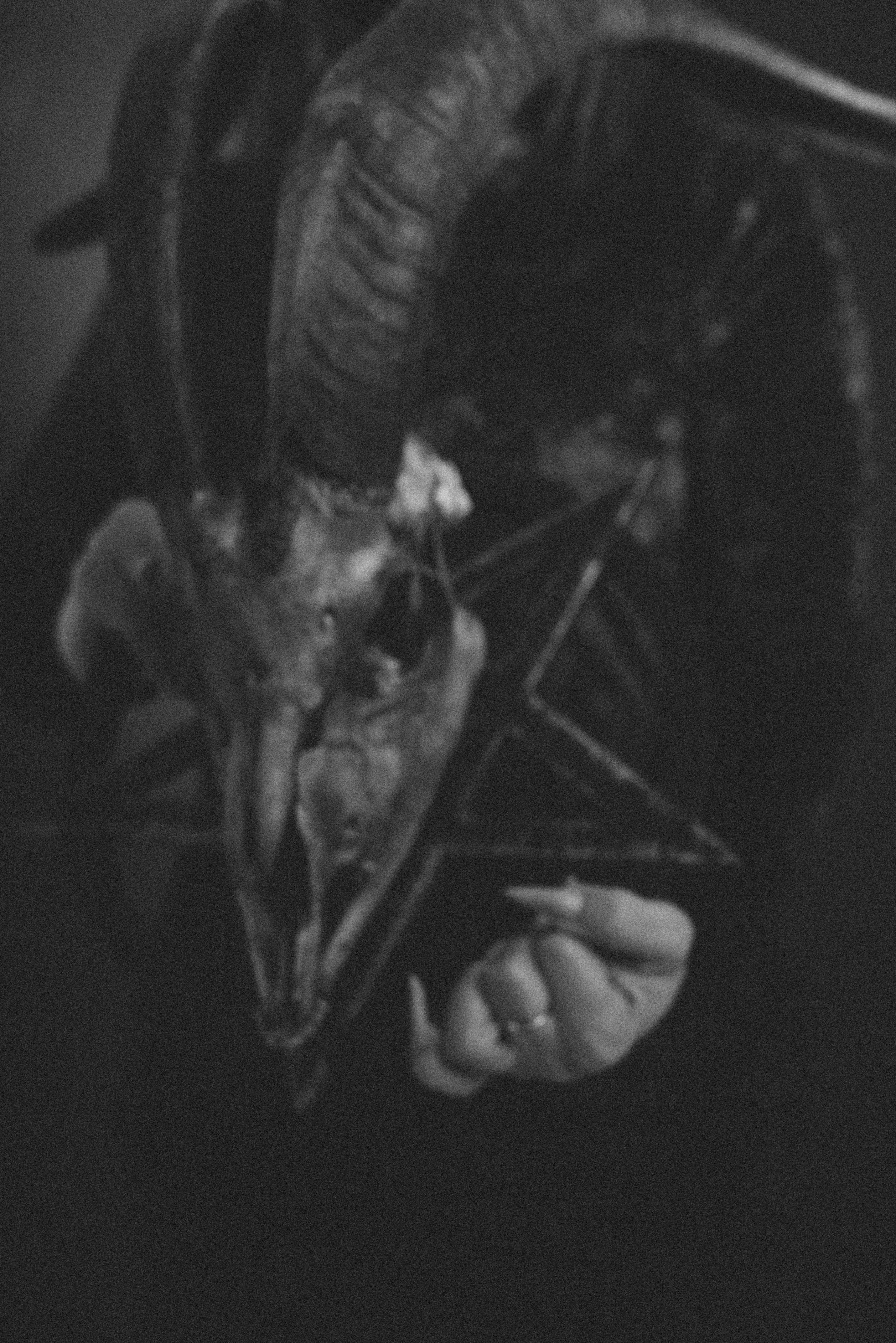 Анастасия. Я — Фотограф из Хабаровска