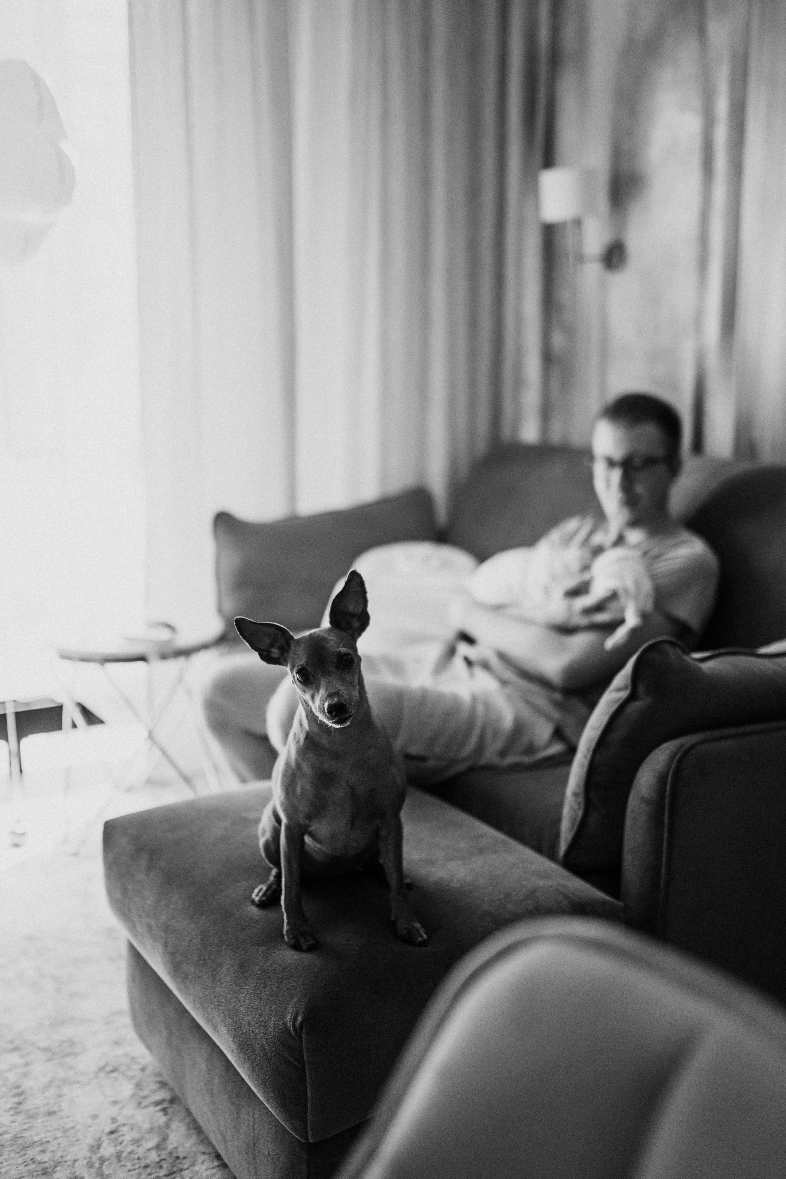 Элина, Рома, Майя. Семейный фотограф Москва