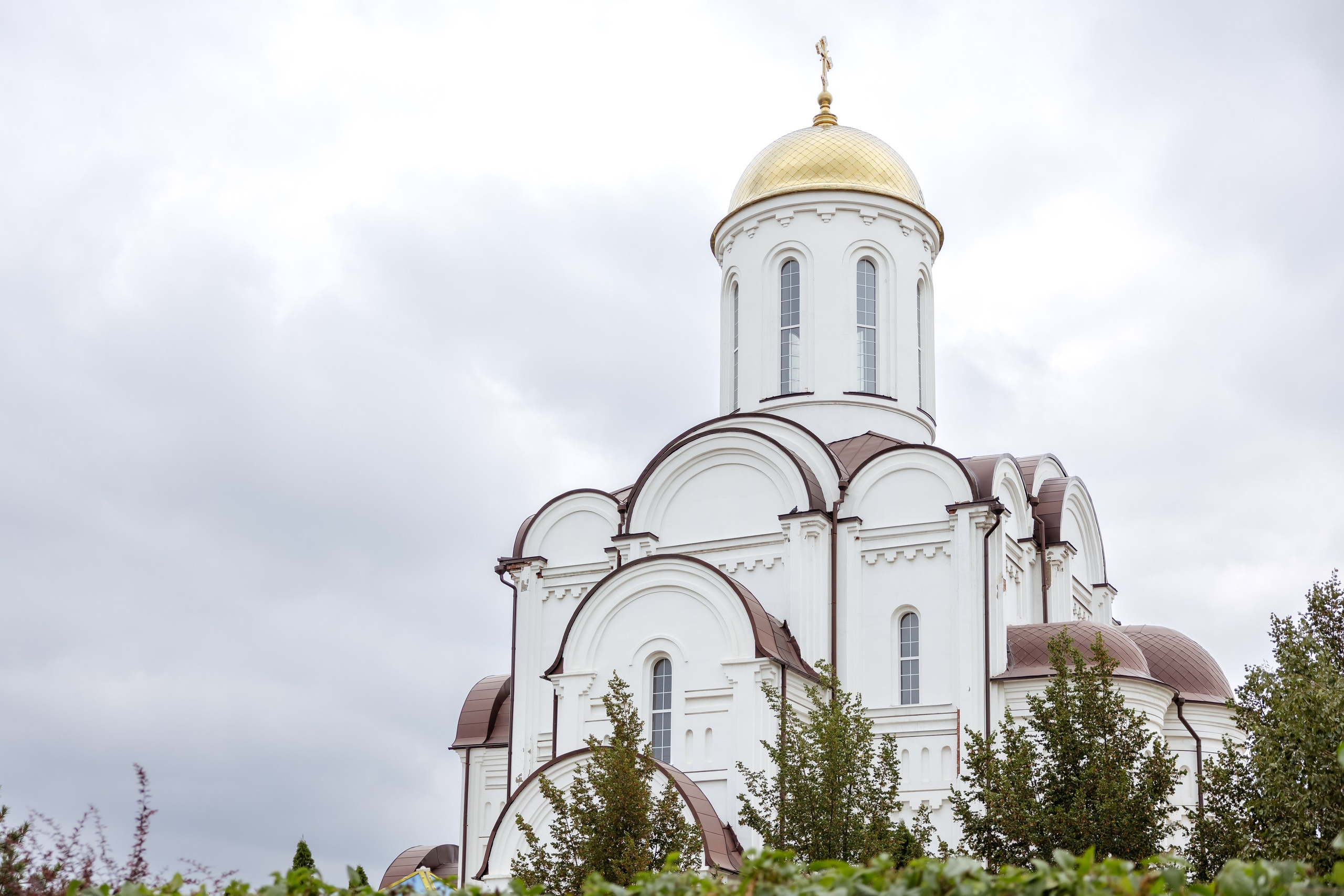 Услуги. Семейный фотограф в Марксе Светлана Шибаршина