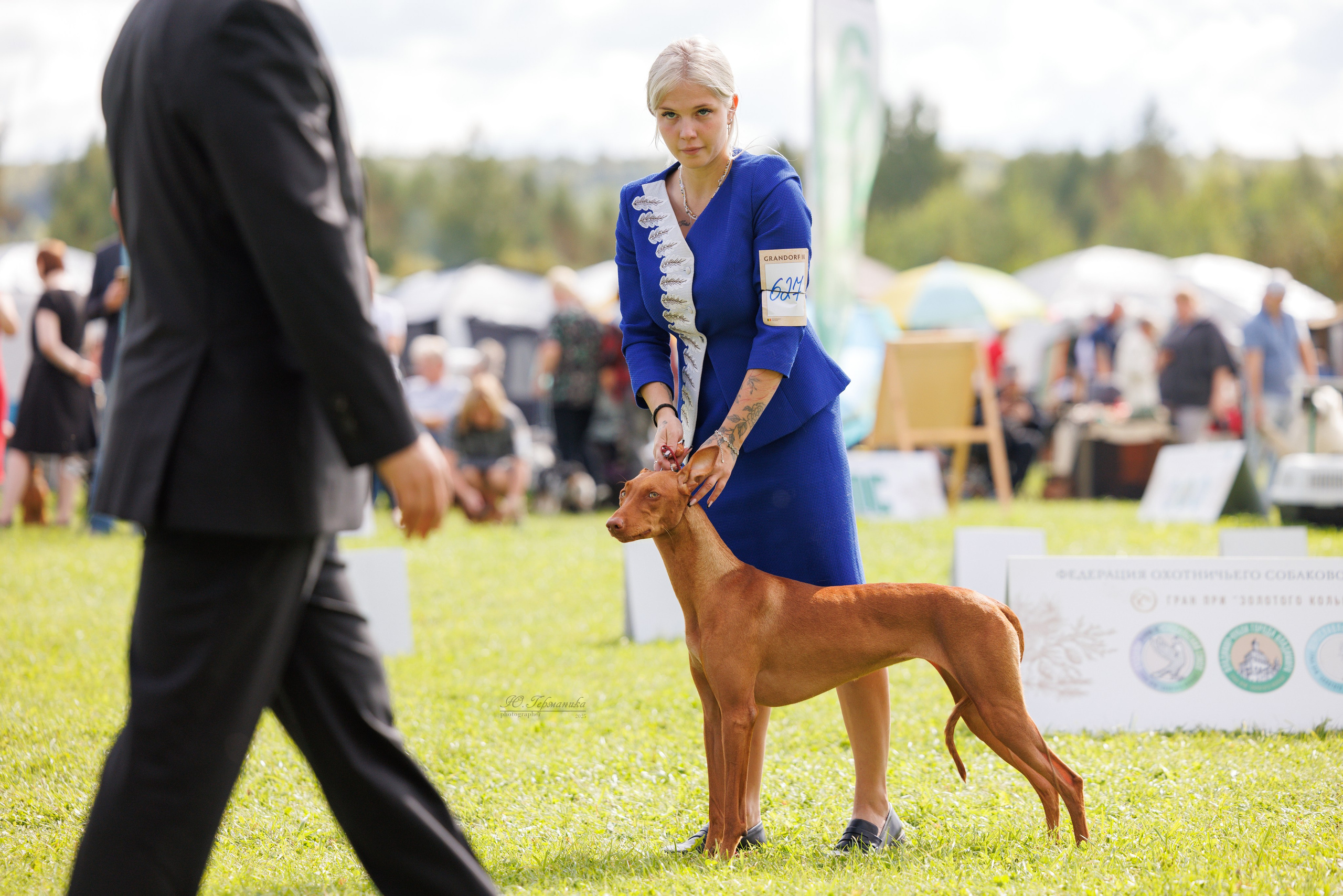 Переславль 5-7.08.2025. Фотограф-анималист Юлия Германика