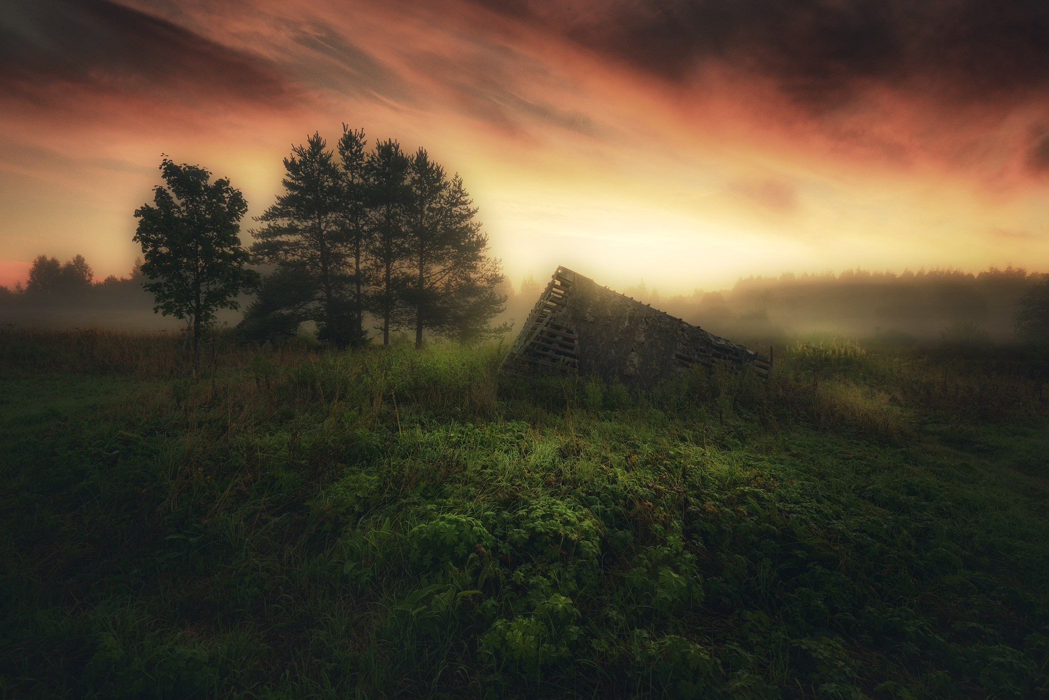 Volkovart.ru forest landscapes. Volkovart.online nature photography