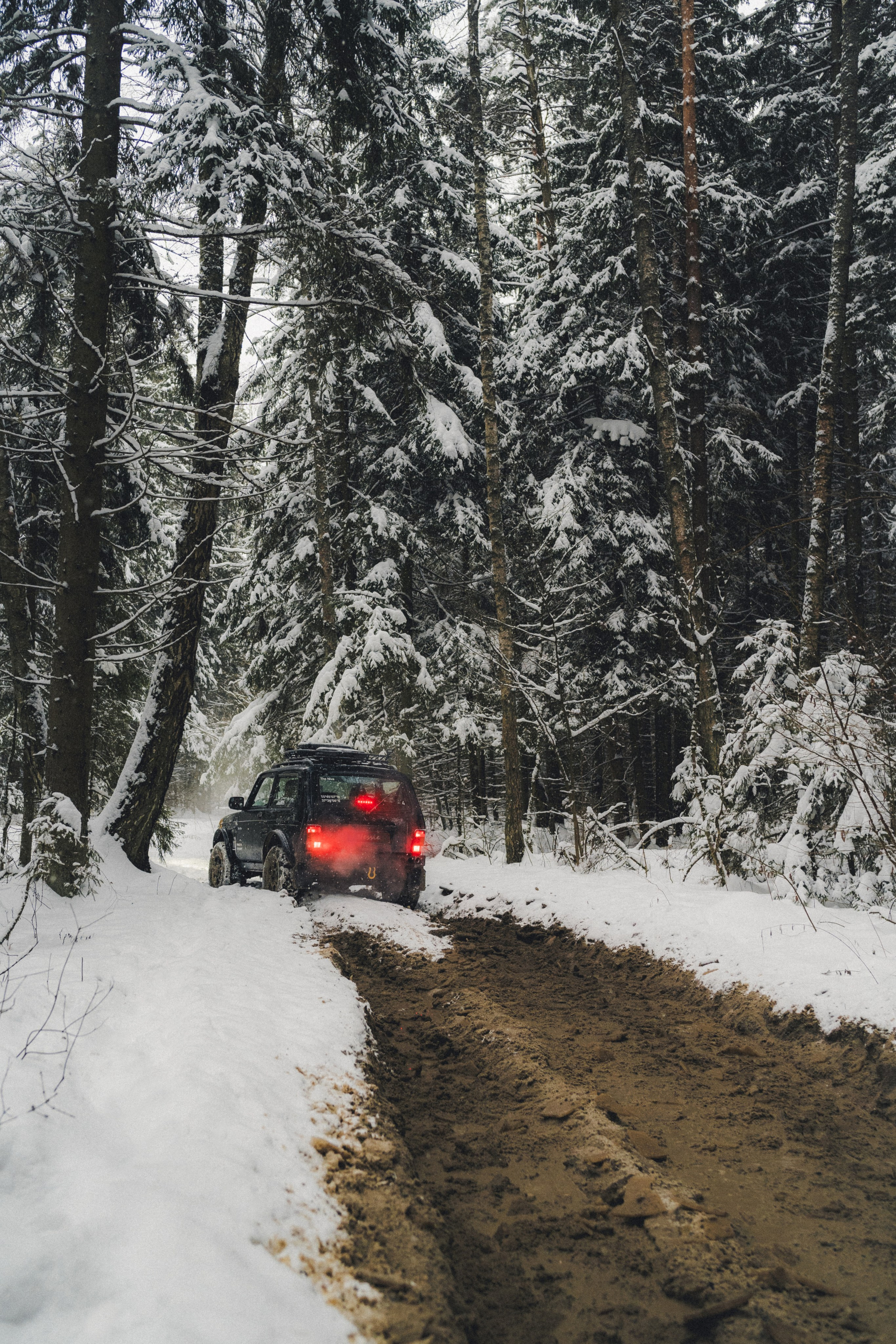 Niva Bronto (Nessie) x FAUNO. Фотограф Илья К. в Москве