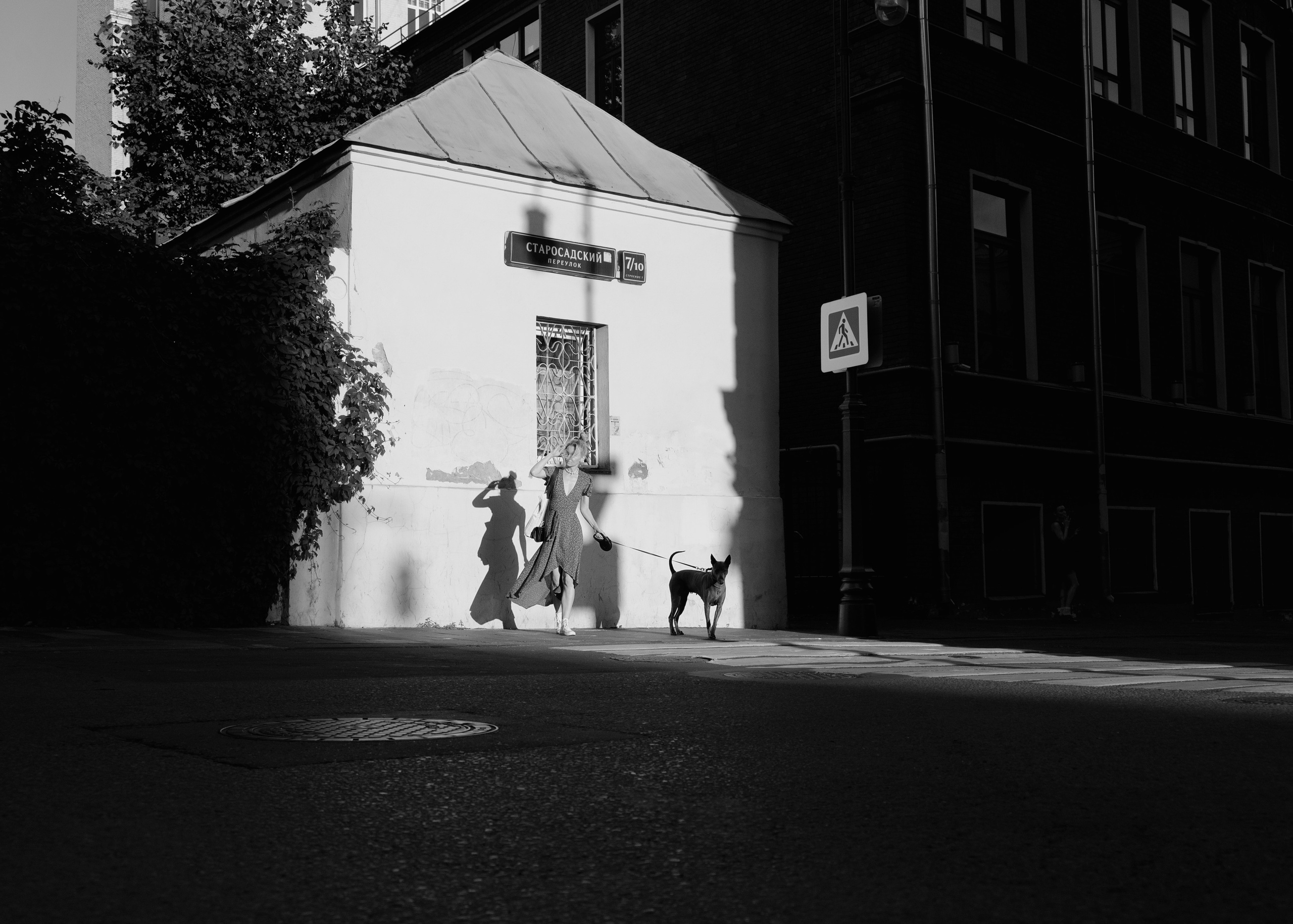 Шарма. Фотограф- анималист Александра Матвеева