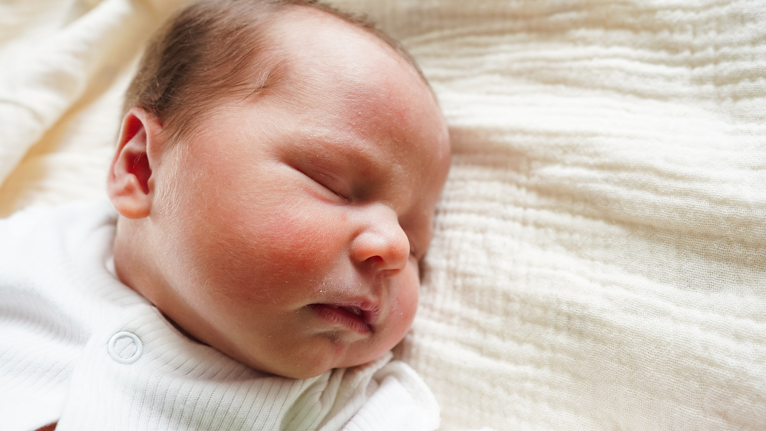 Вера. Семейный и детский фотограф в Москве (Тинао) Галкина Алевтина