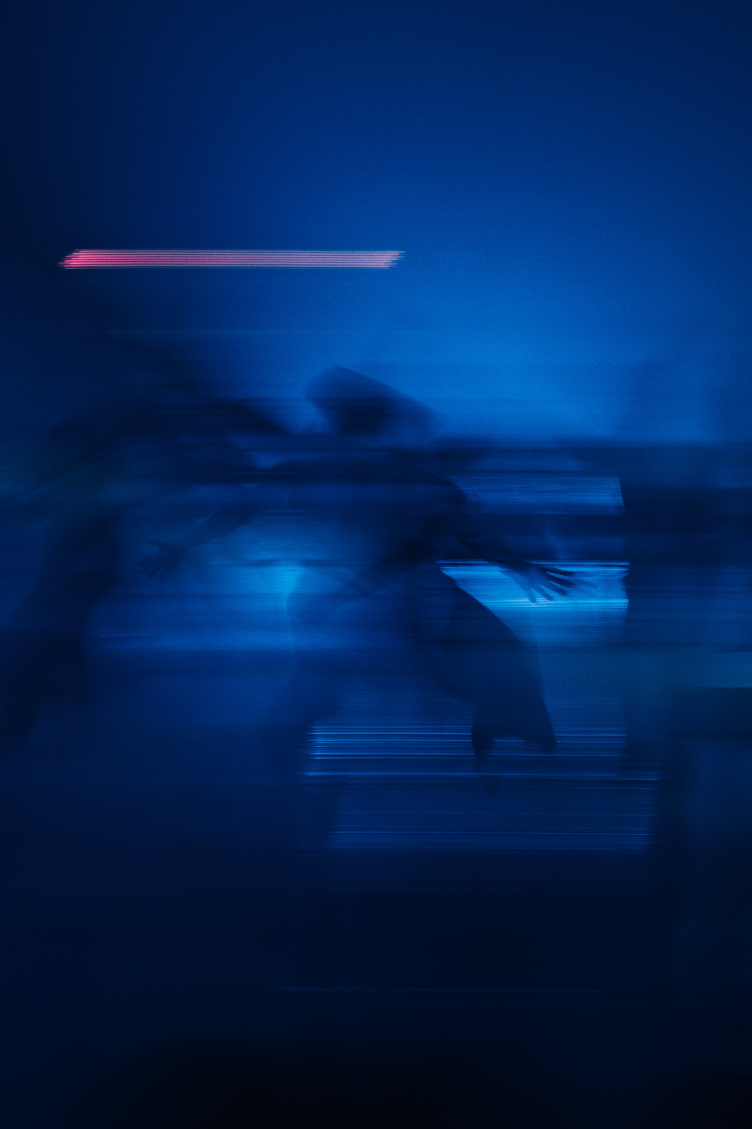 PERFORMA, The Hour of the Horse. @tomrus: Рустам Шагиморданов — фотограф