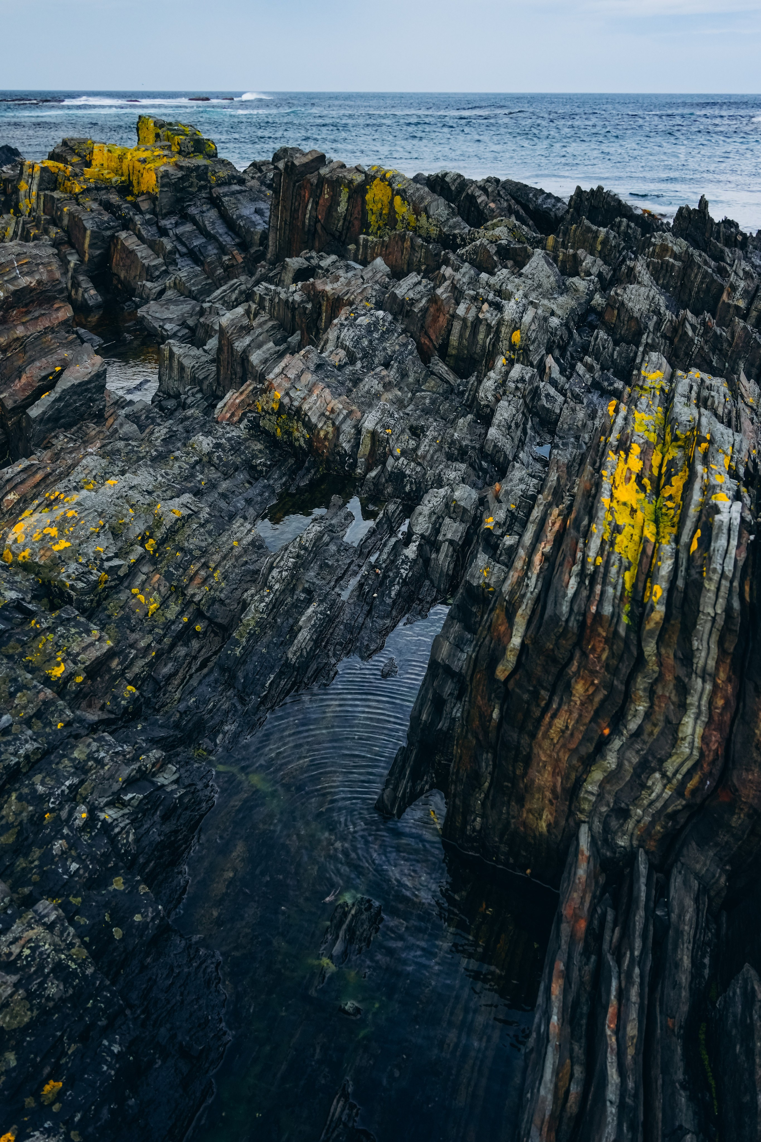 СЕВЕР. Event фотограф Степанова Александра