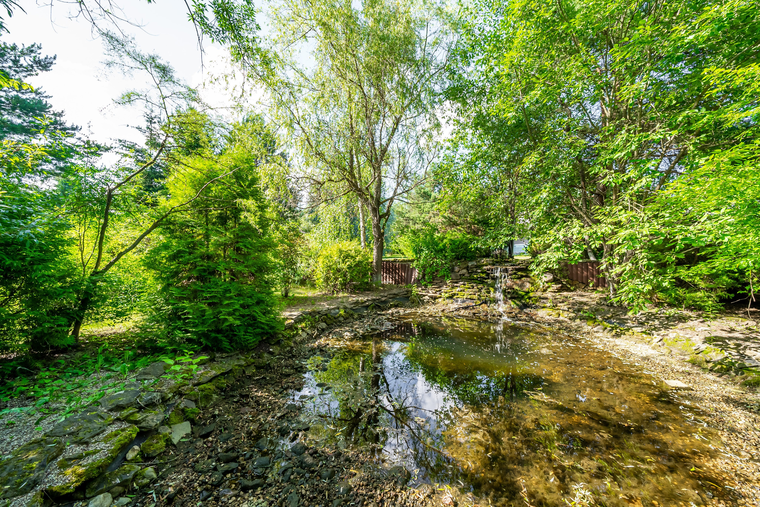 СНОВИДОВО. Фото и видео-съемка Андраник Хачатурян