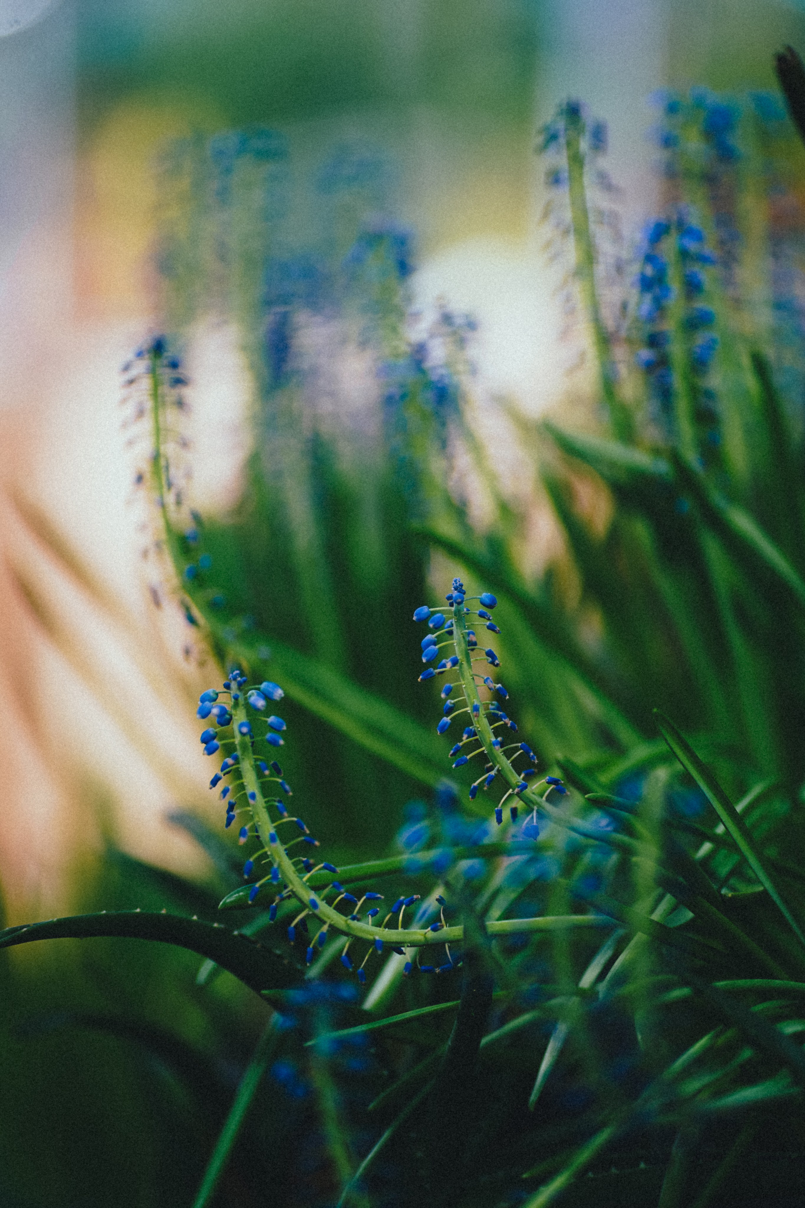 Игорь и Екатерина. Свадебный фотограф Копков Геннадий