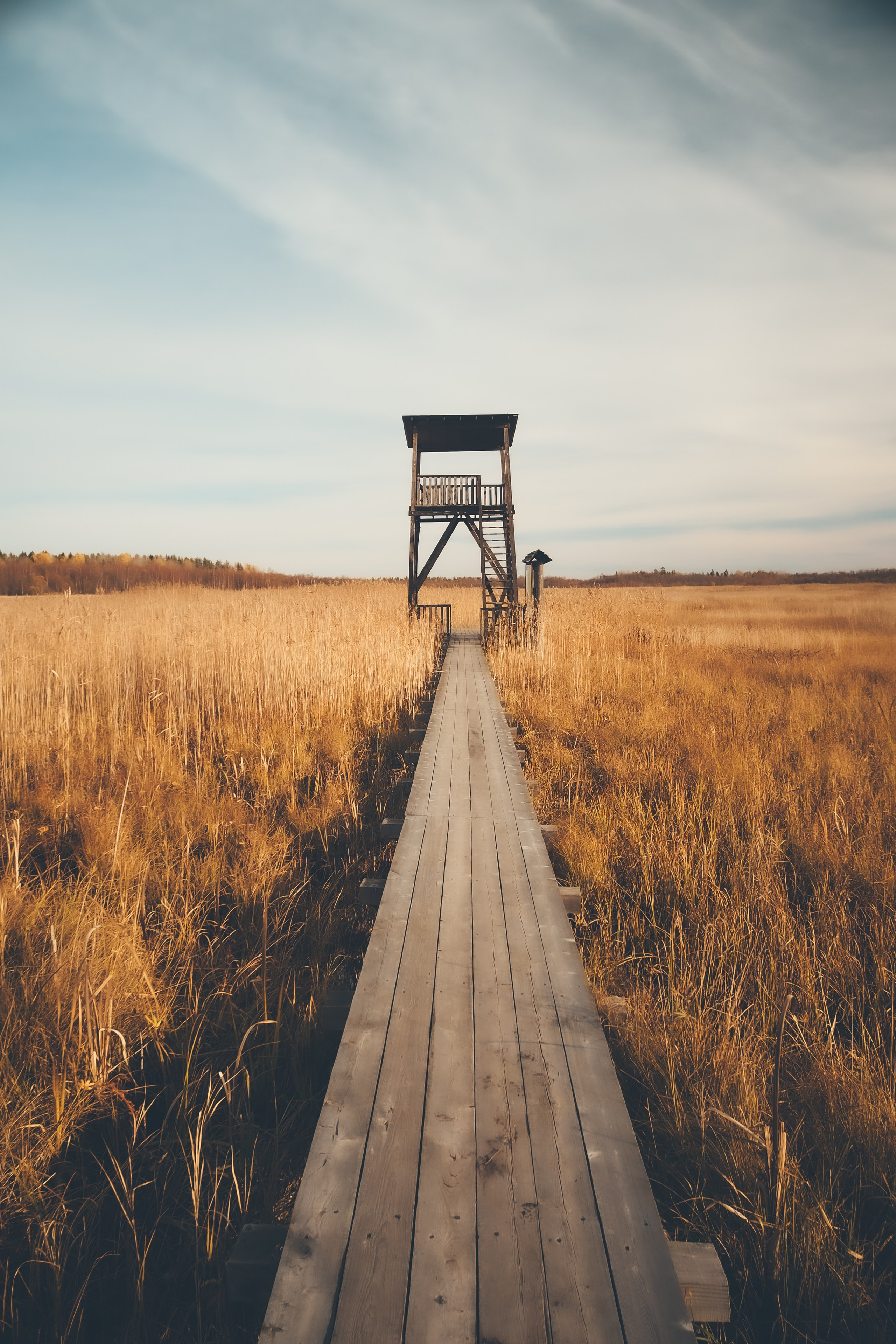 Другое. Свадебный фотограф Копков Геннадий