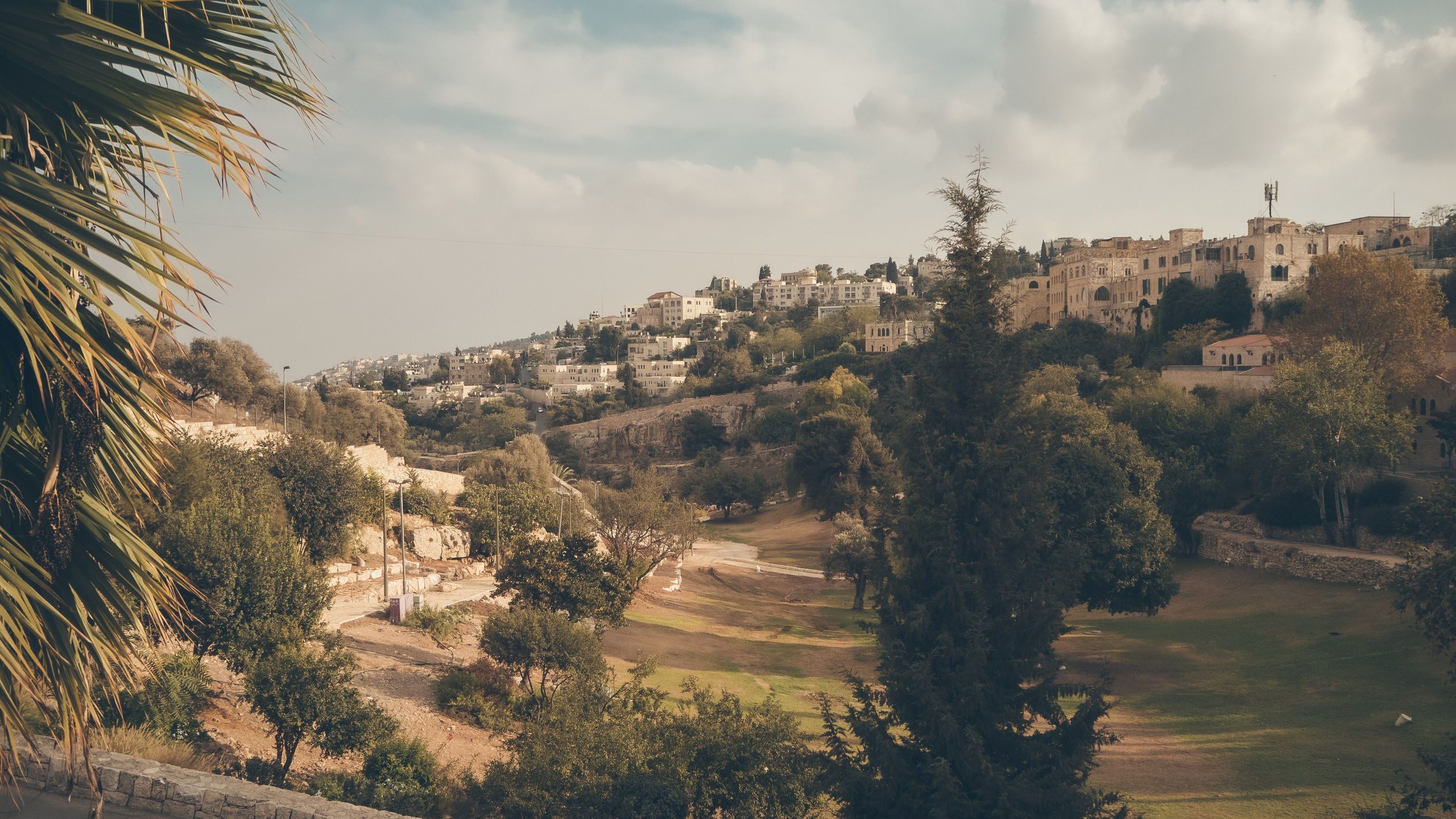 Израиль. Свадебный фотограф Копков Геннадий