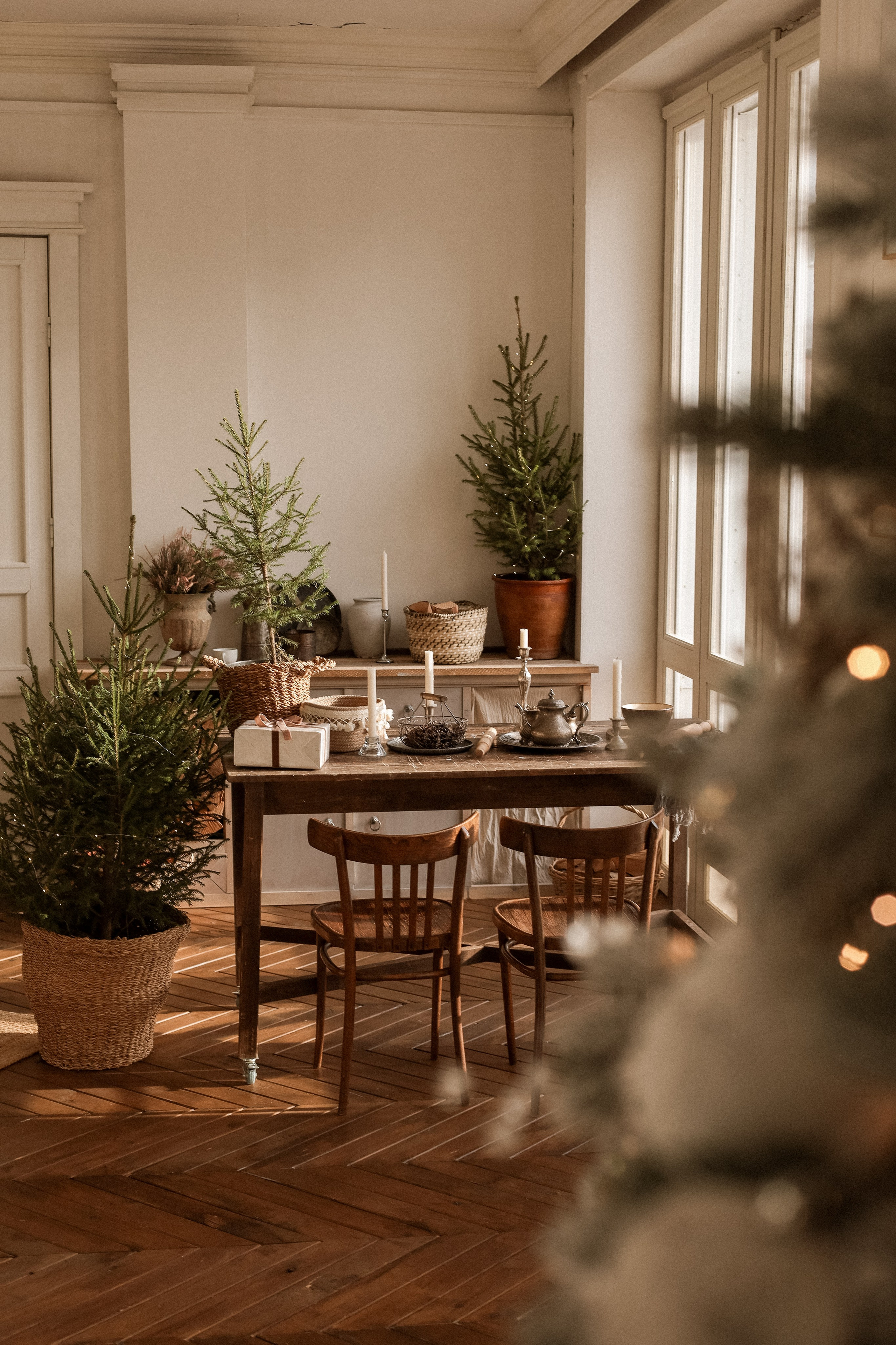 Новогодние 2025-2026. Семейный фотограф Тюмень Смирнова Юлия